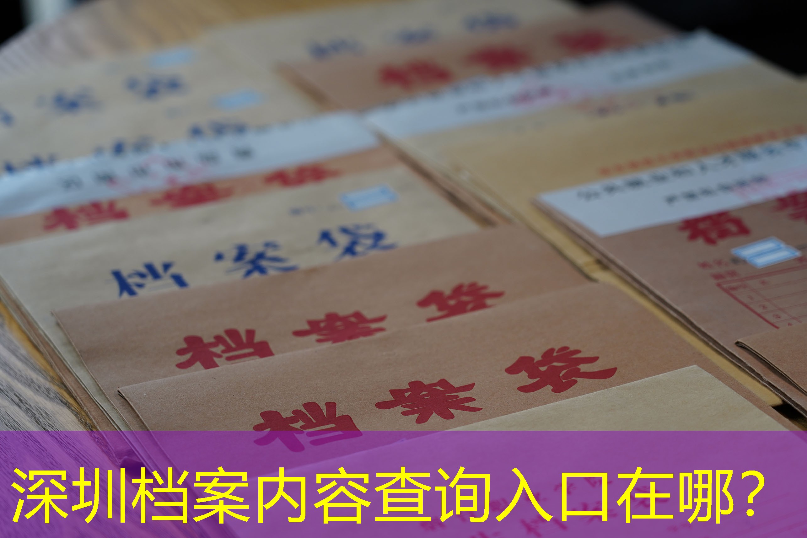 档案查询