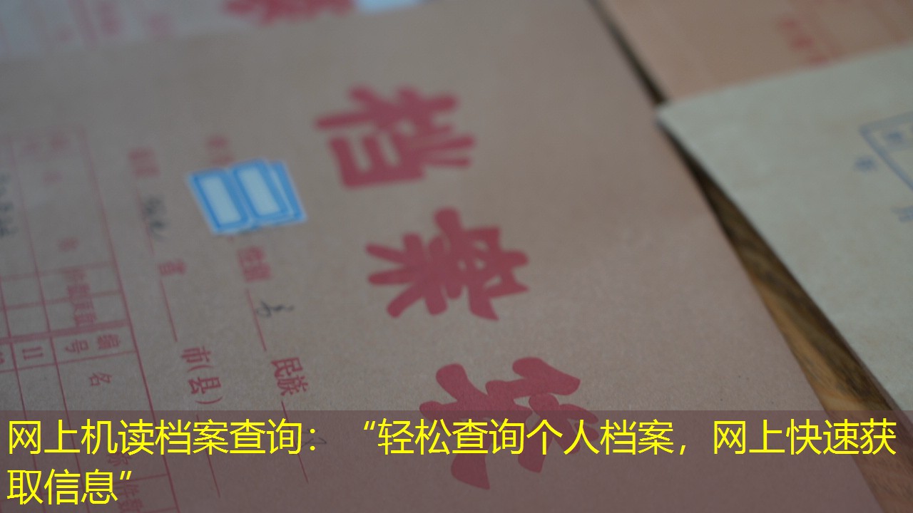 档案查询