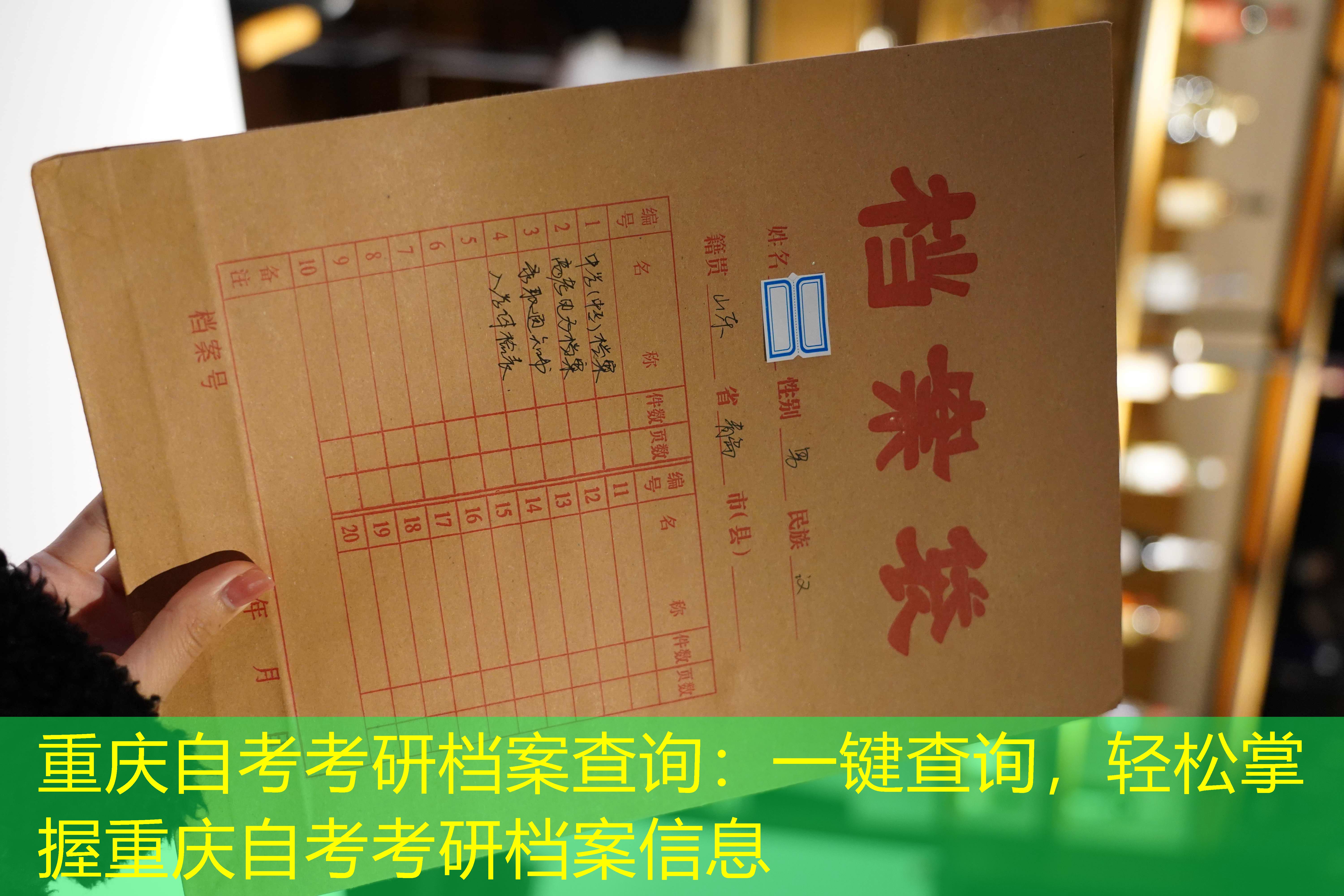 档案查询