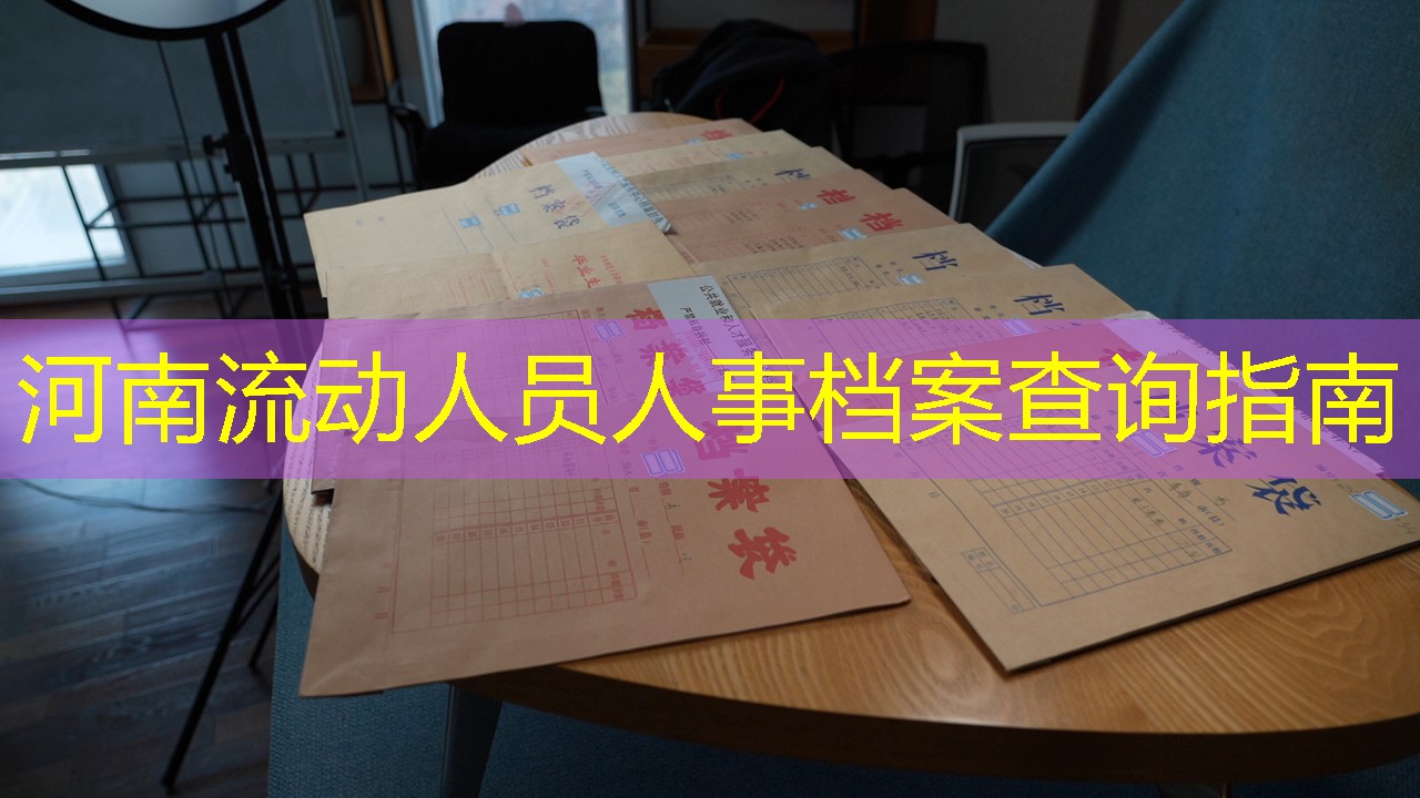 档案查询