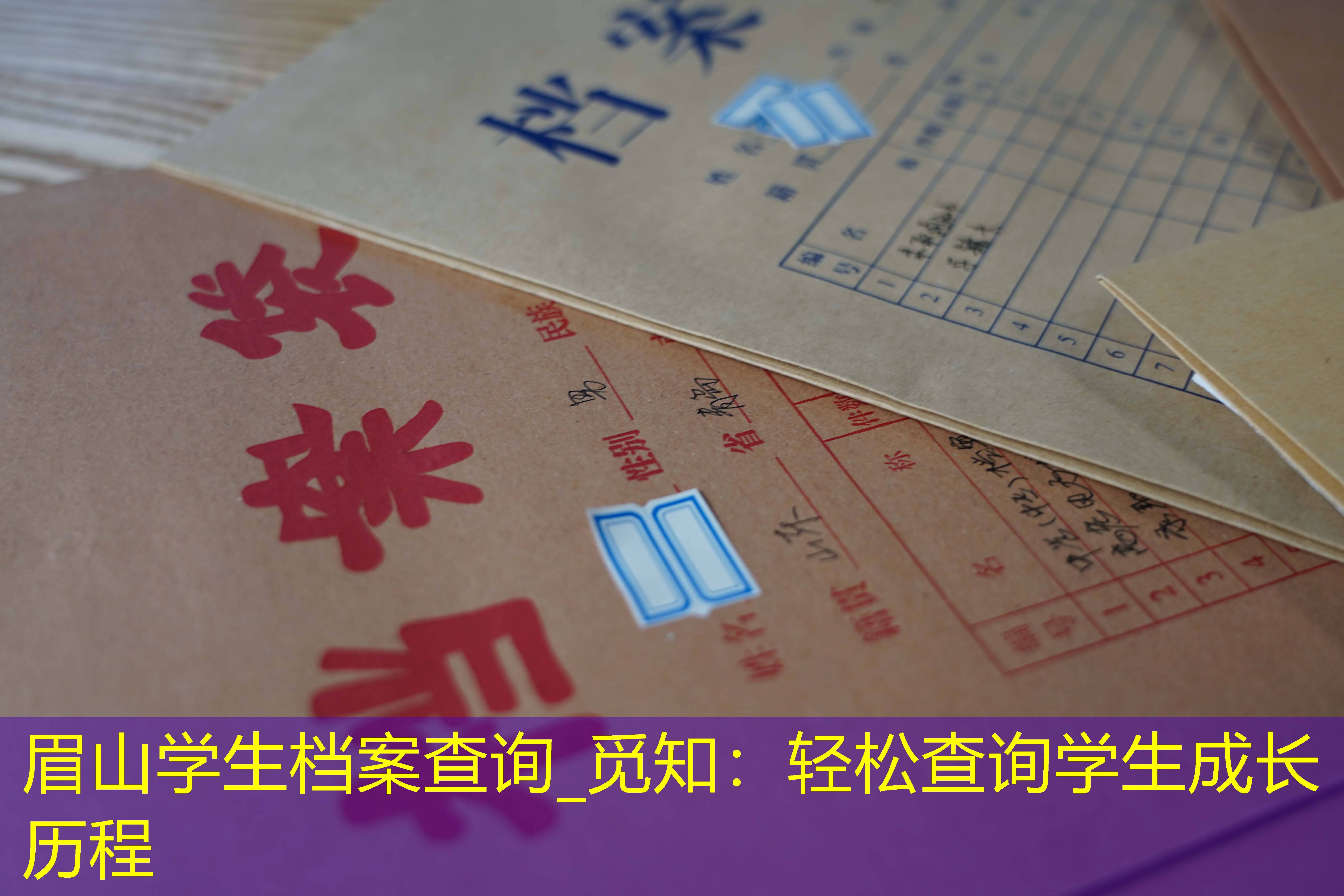 档案查询