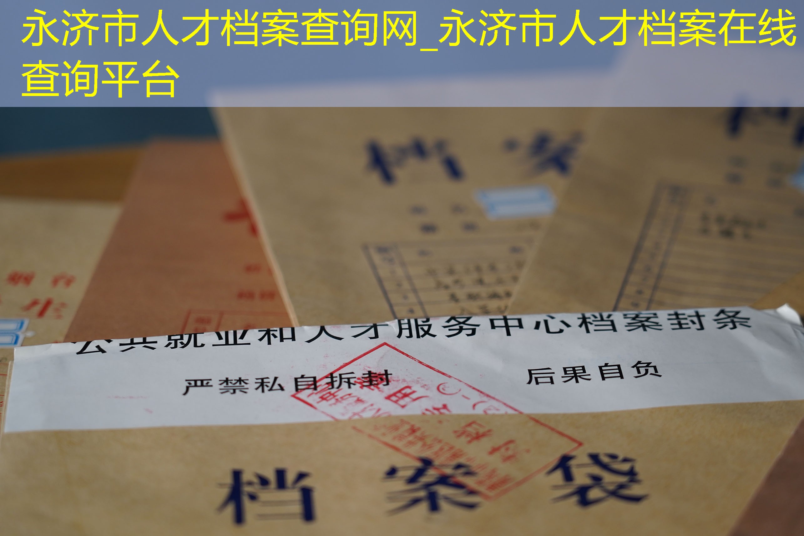 档案查询