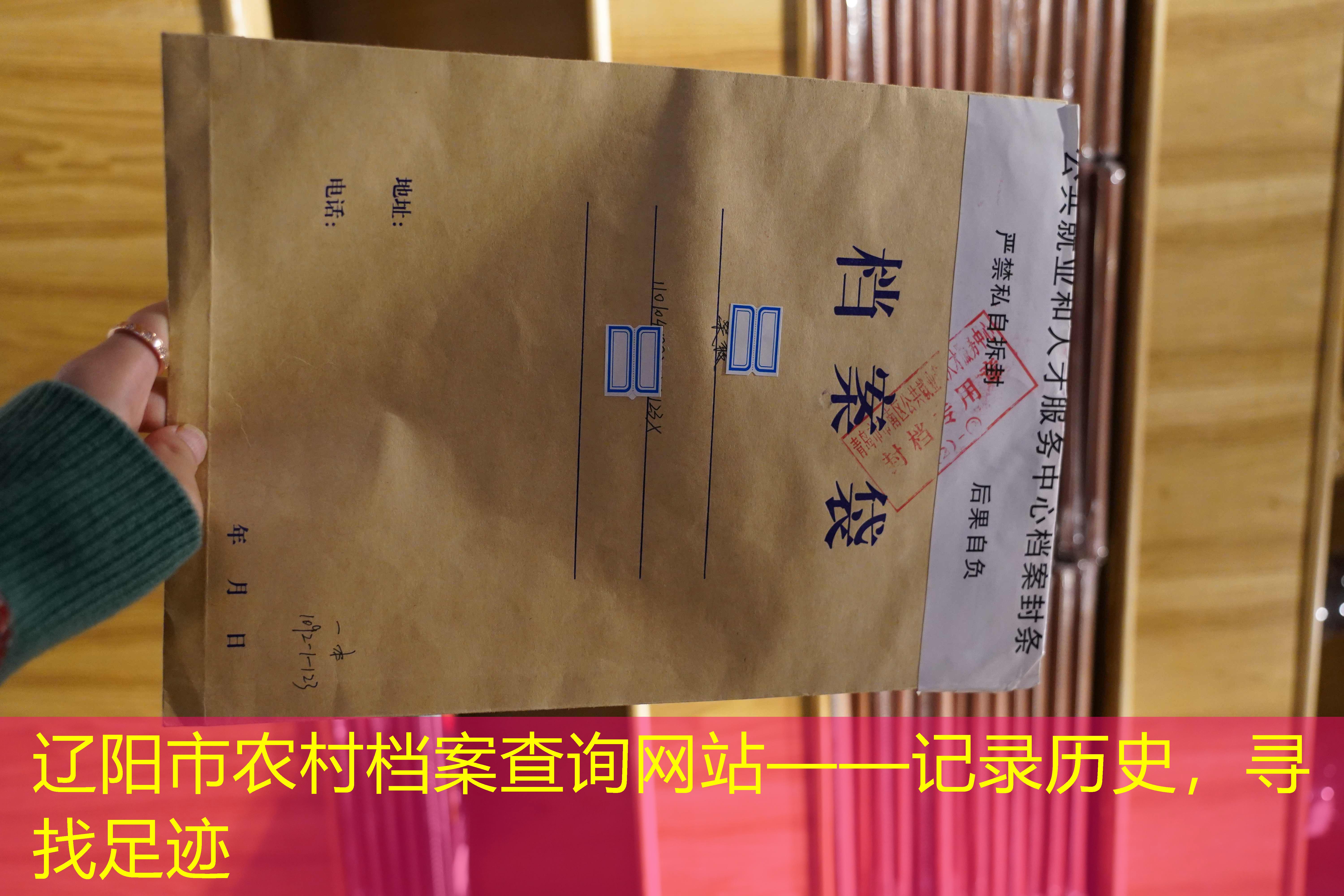 档案查询