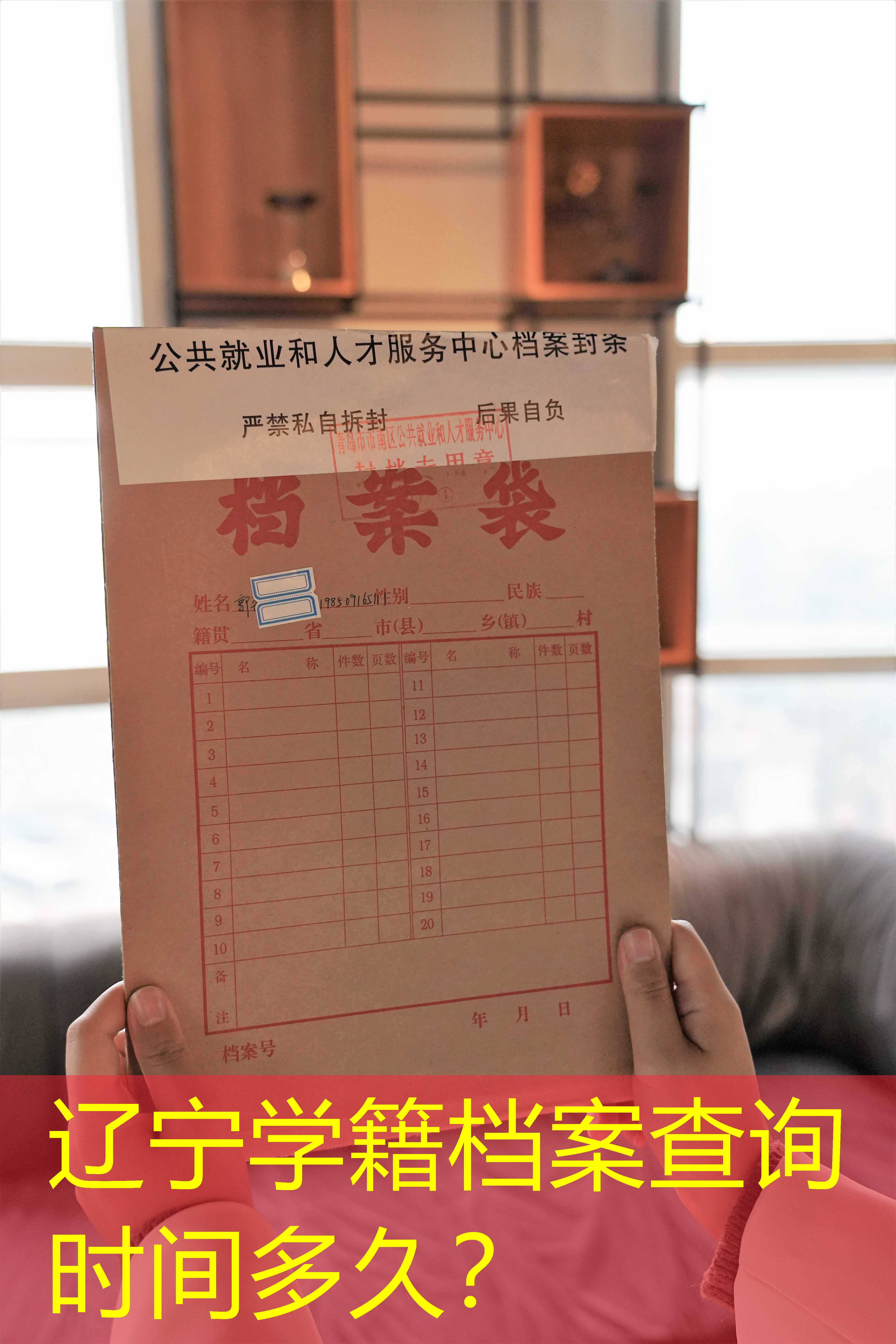 档案查询
