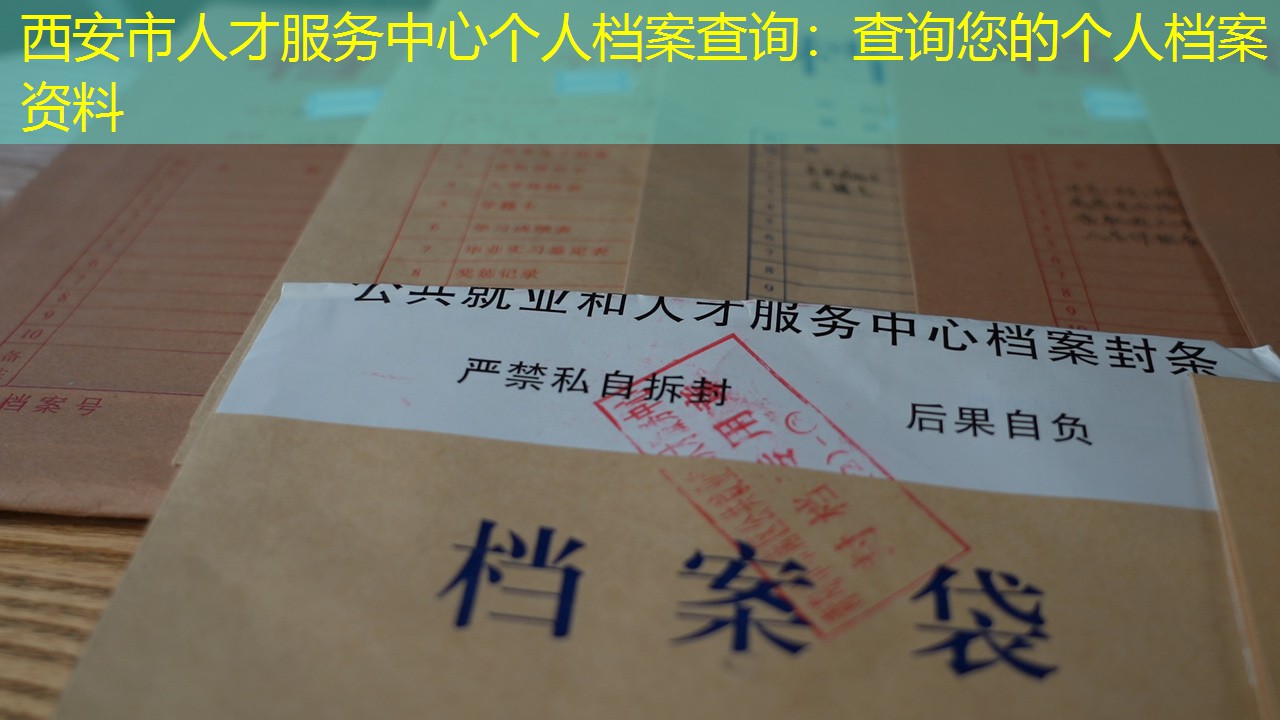 档案查询