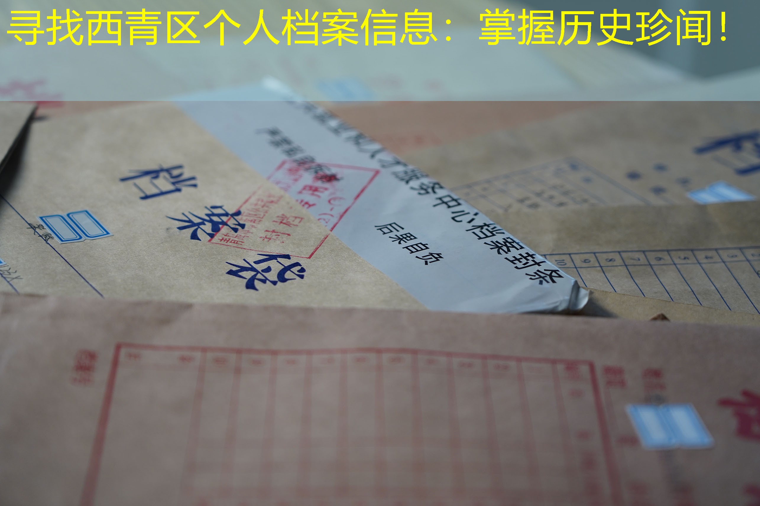 档案查询