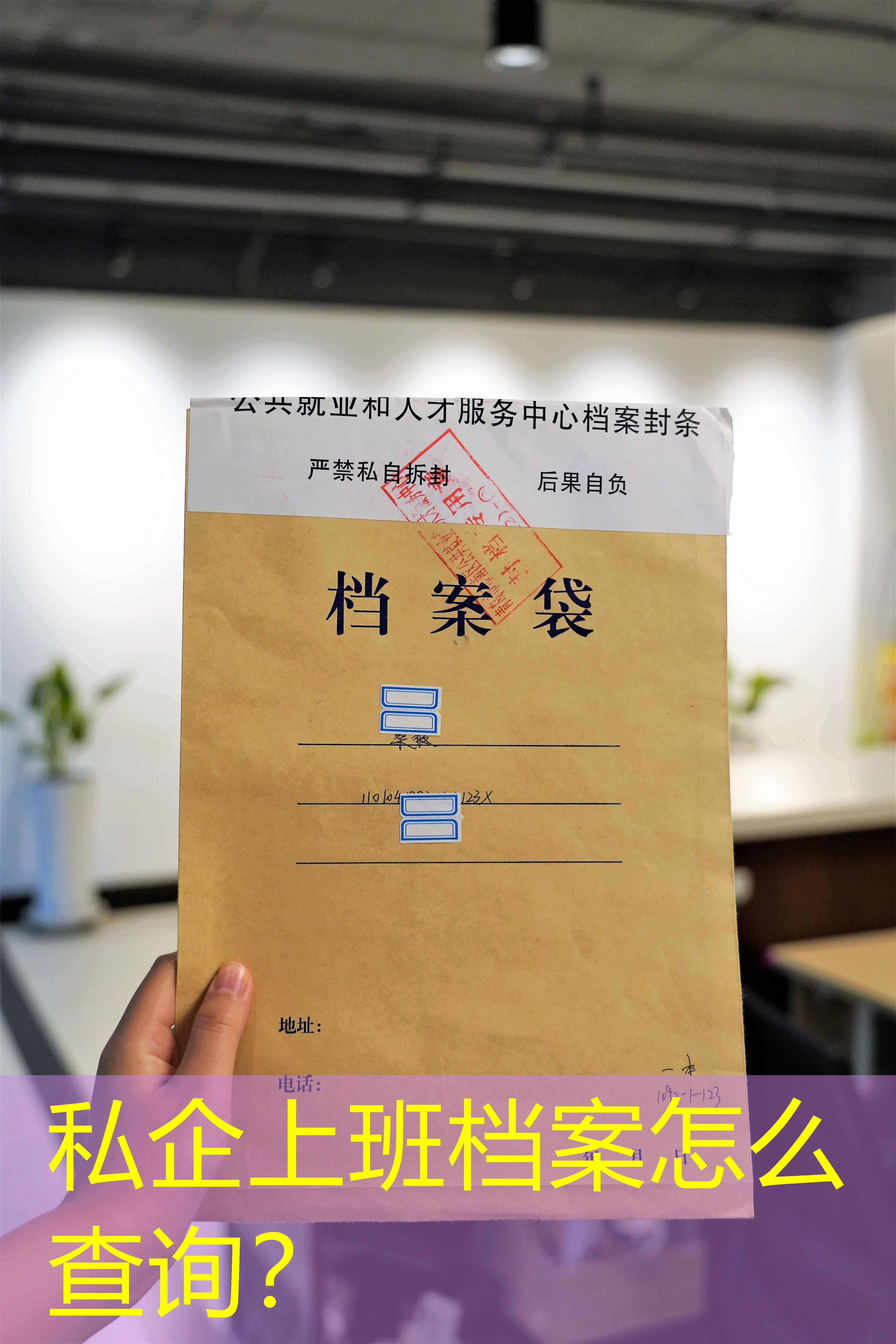 档案查询