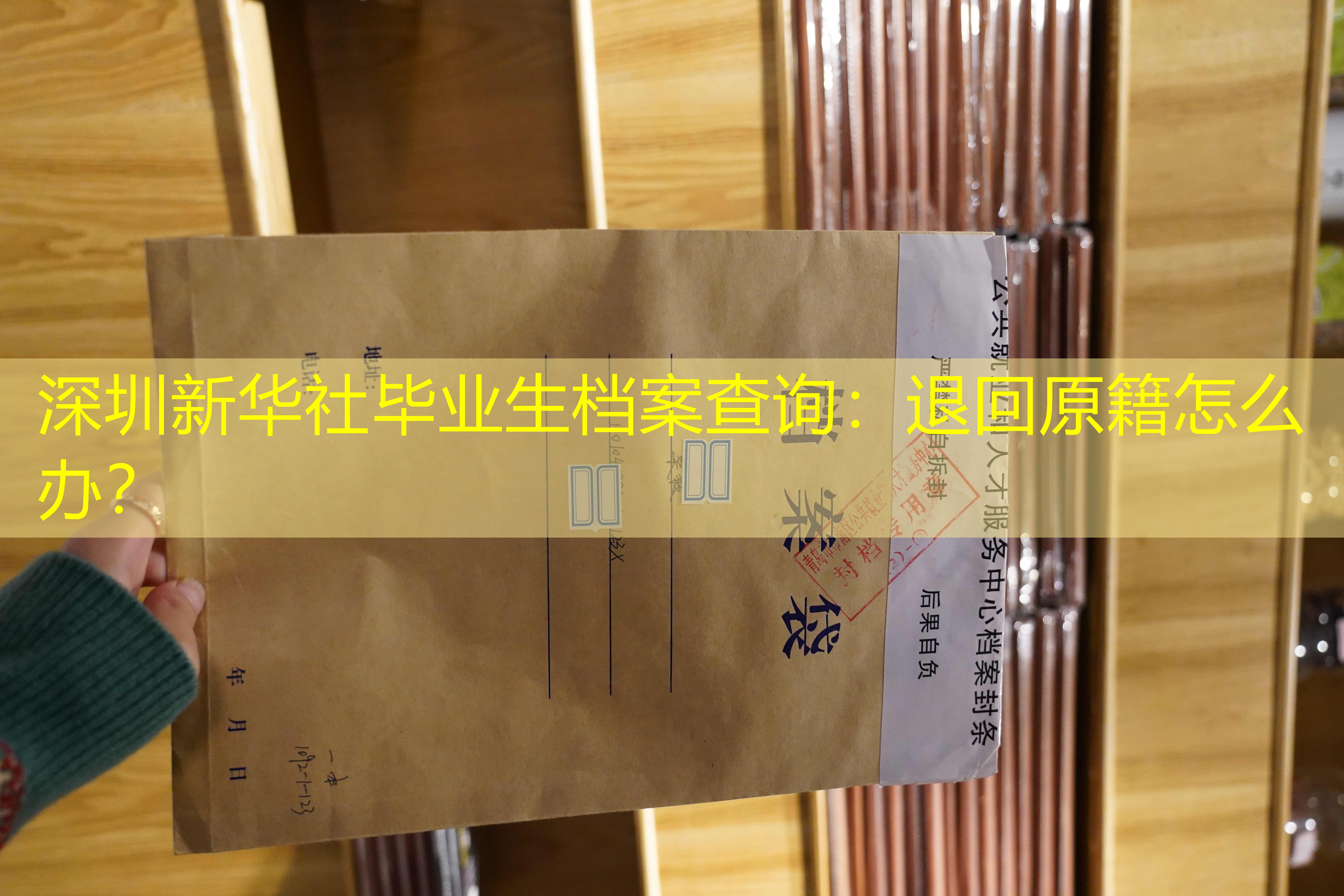 档案查询