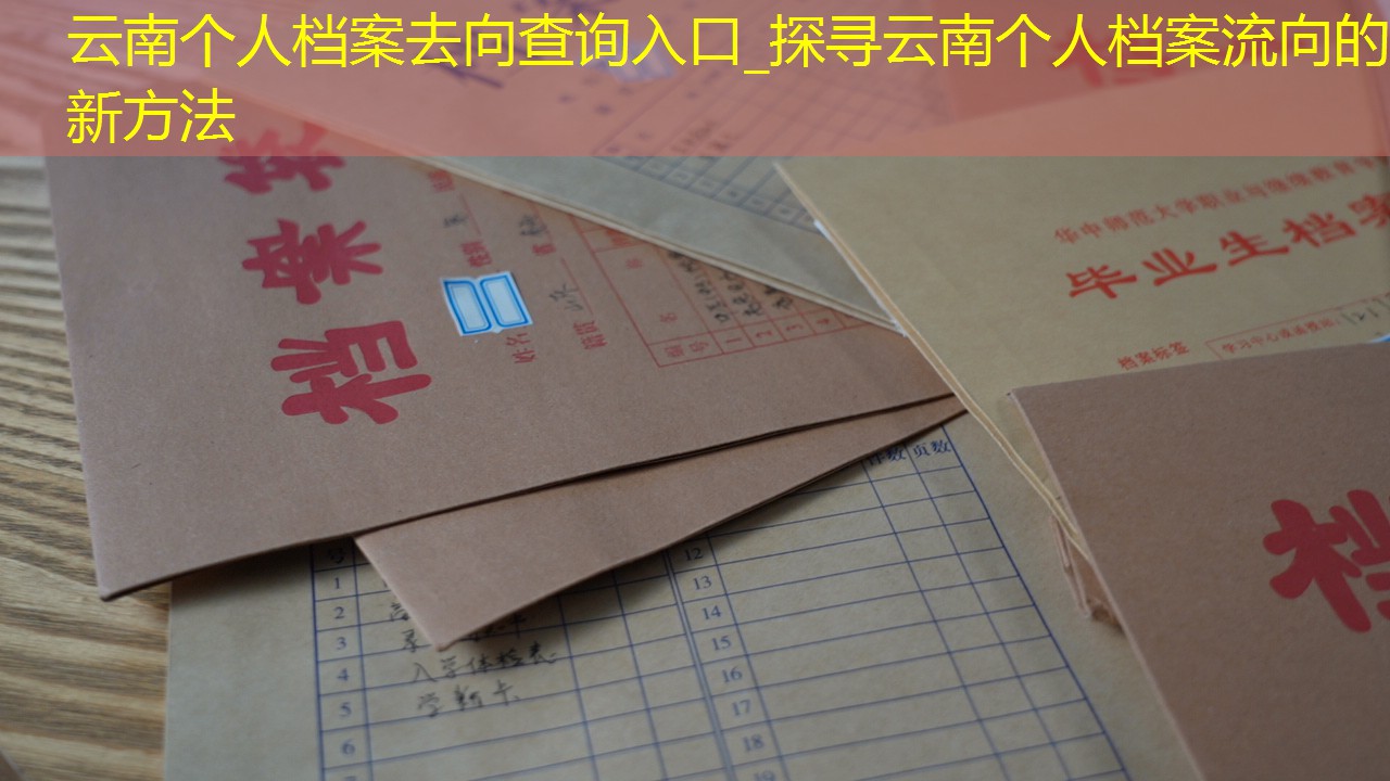 档案查询