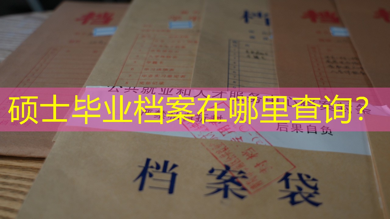 档案查询