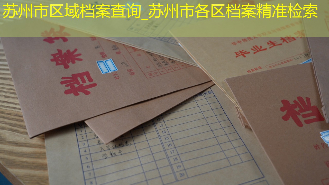 档案查询