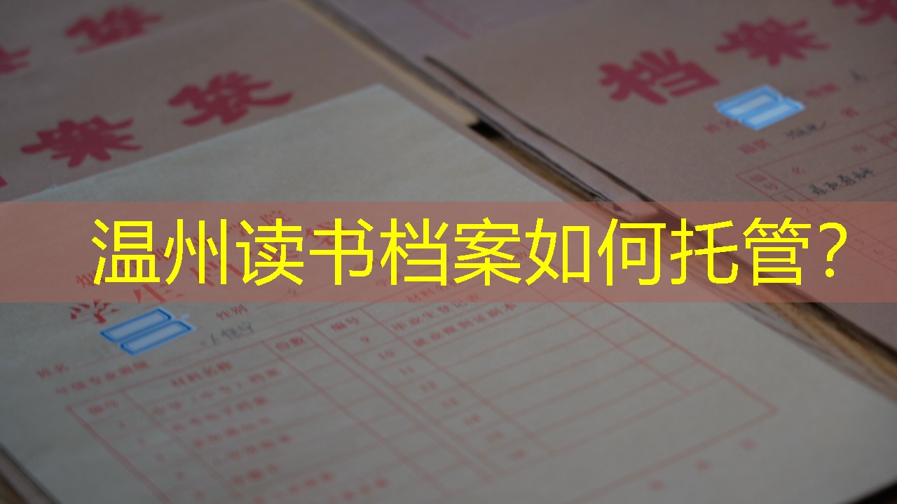 档案查询