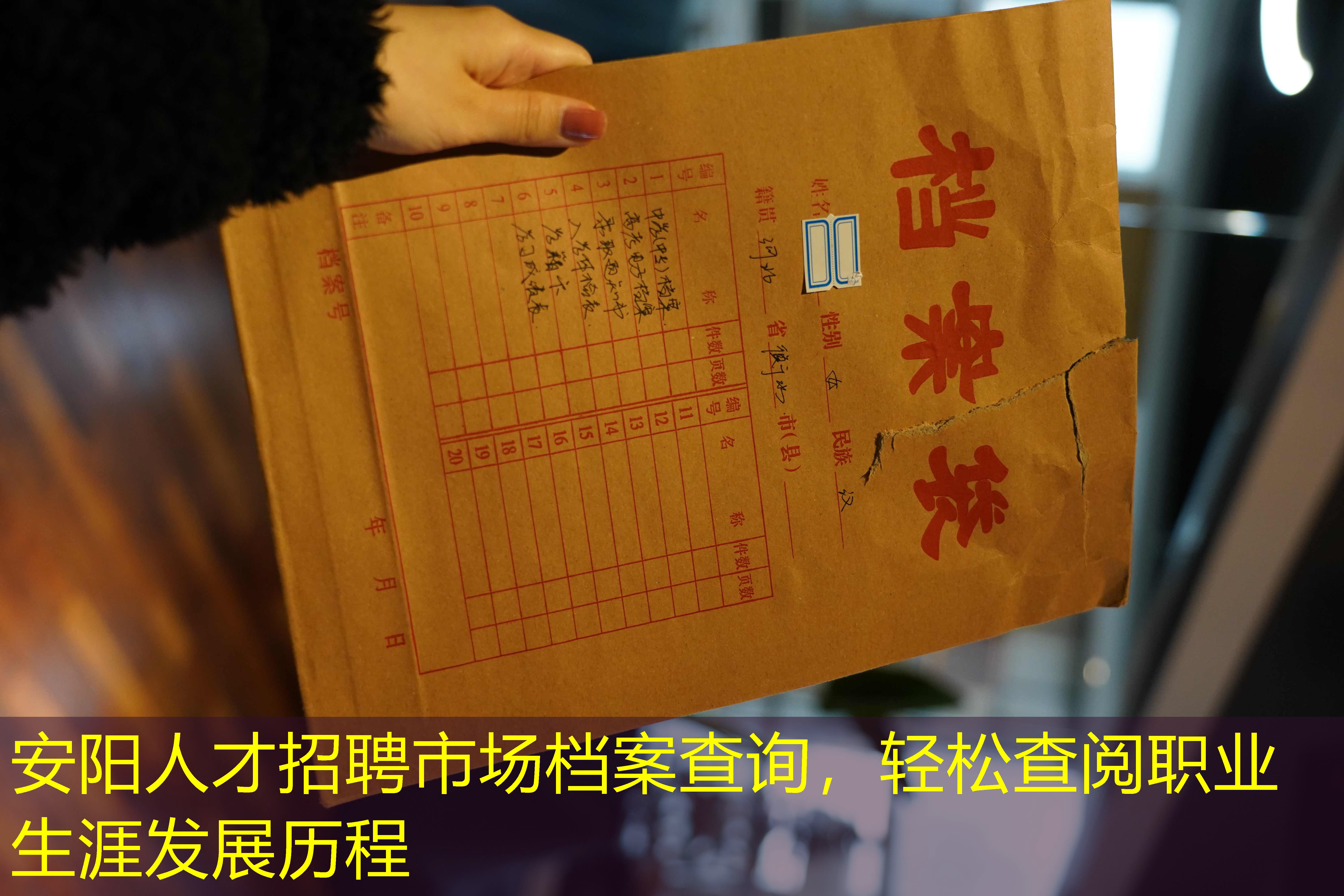 档案查询