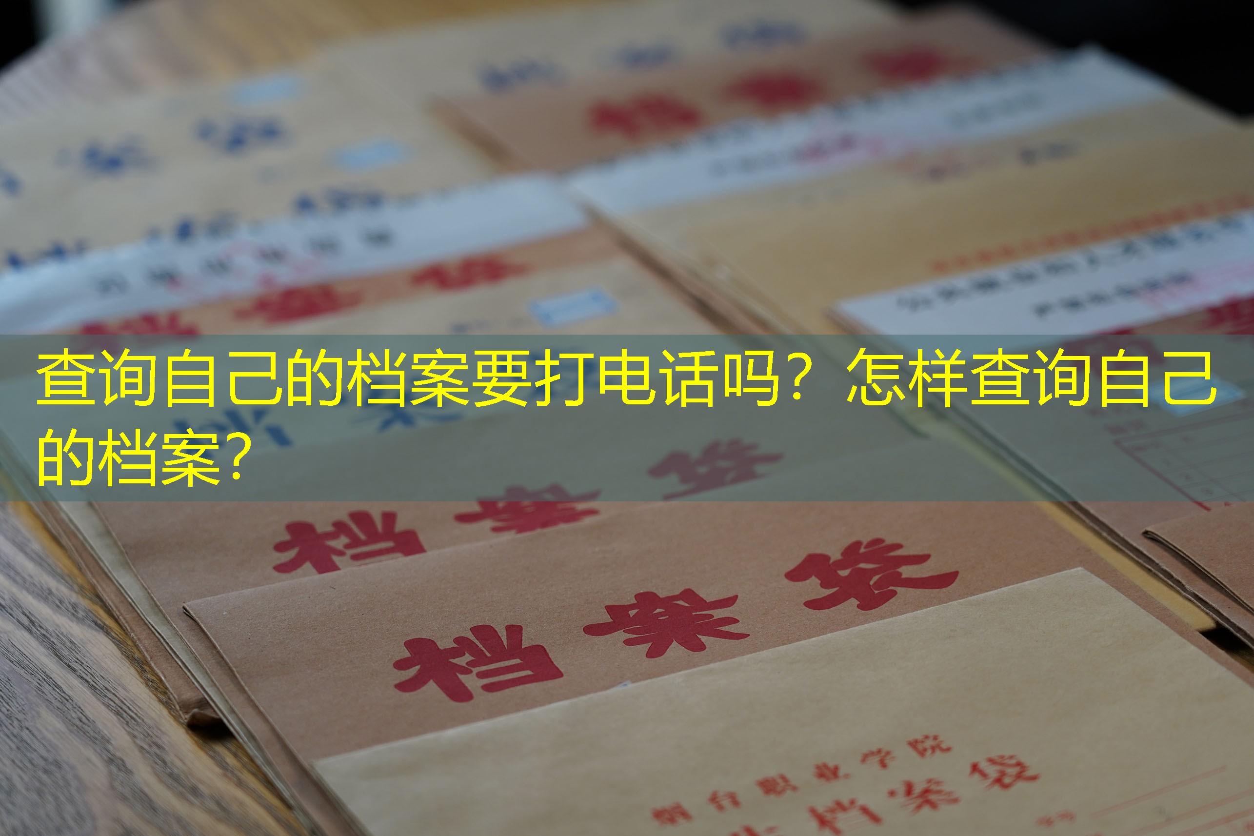 档案查询