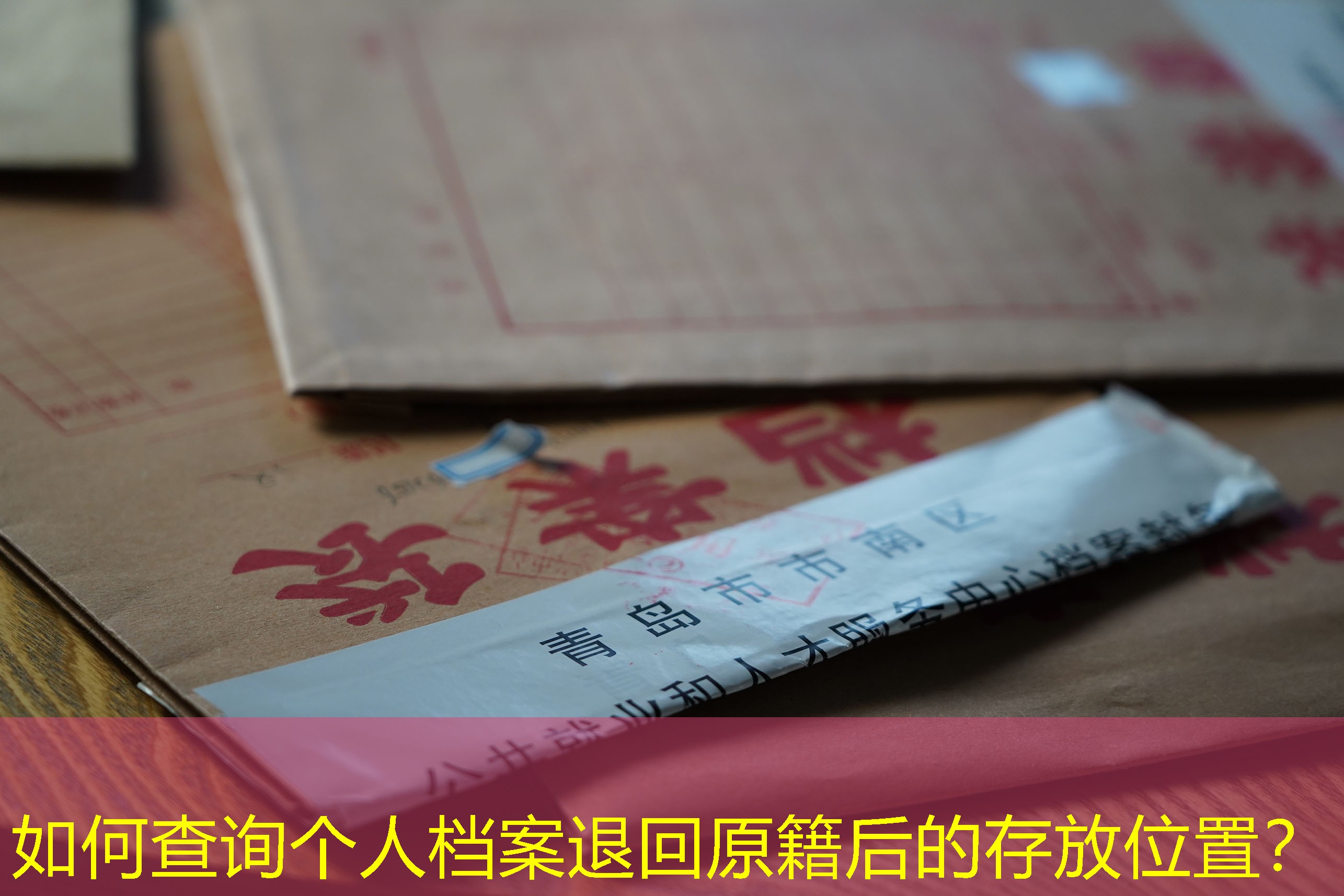 档案查询