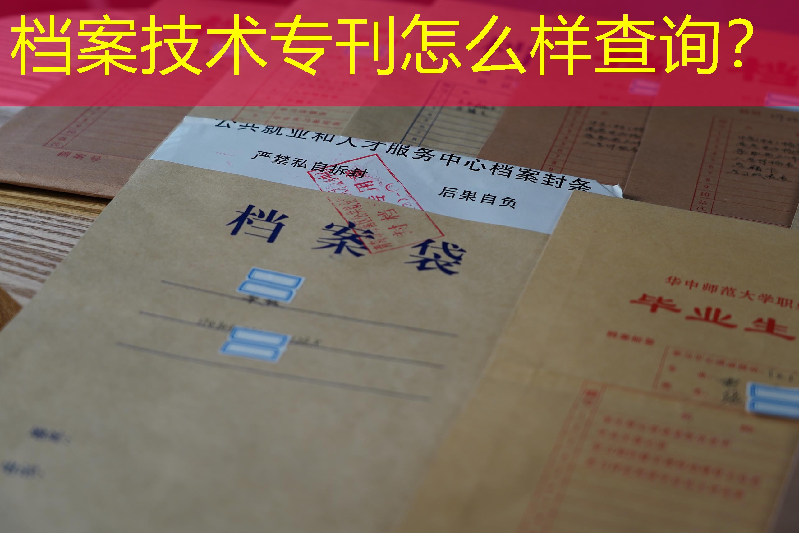 档案查询