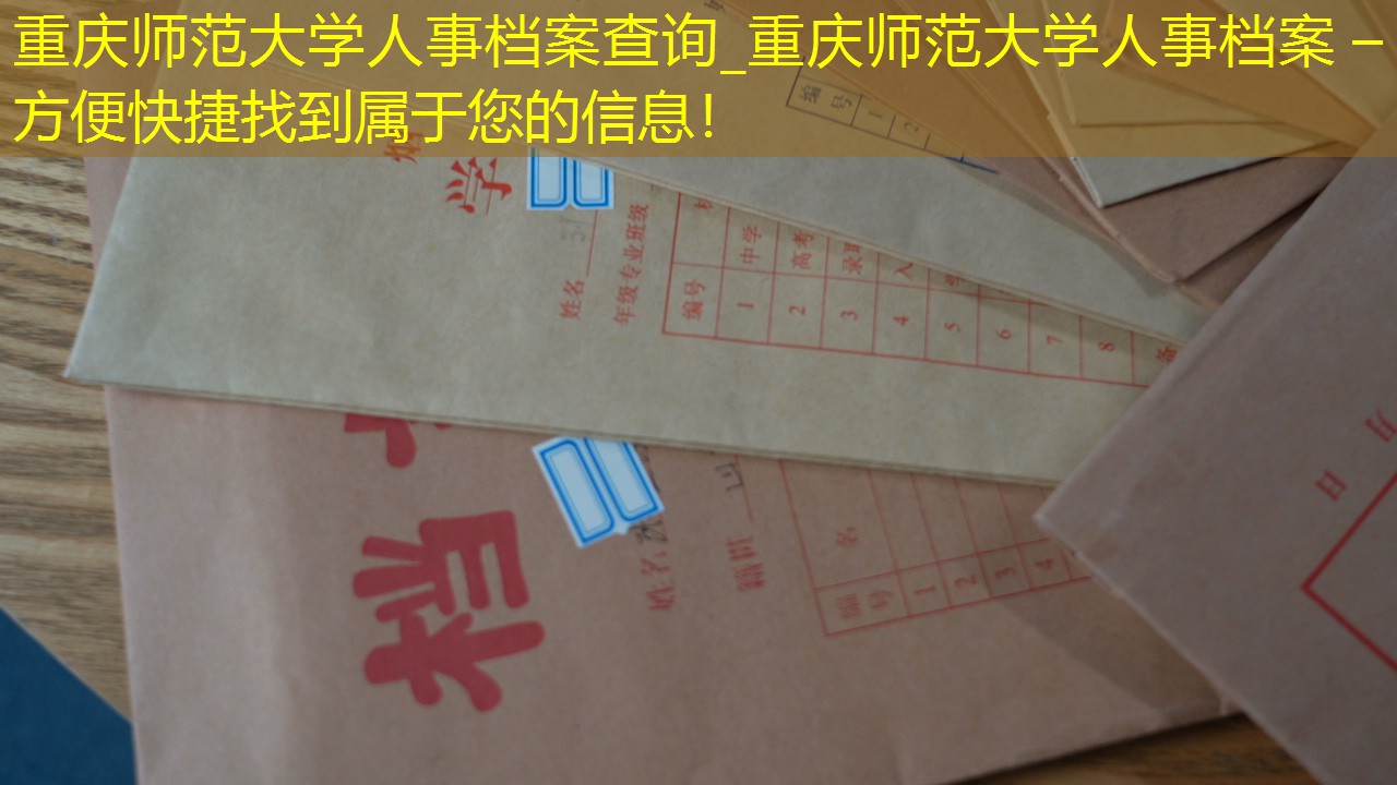 档案查询