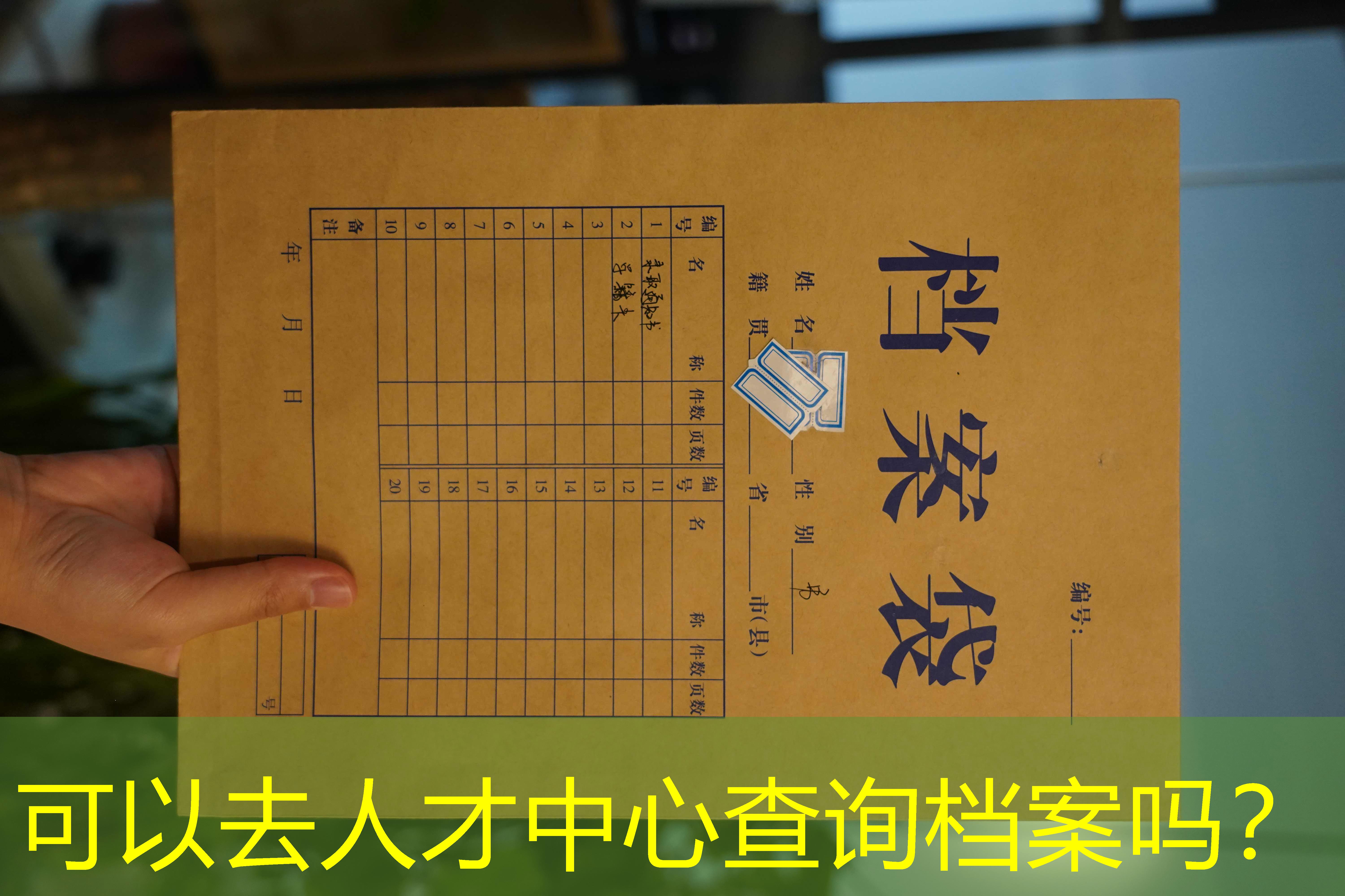 档案查询