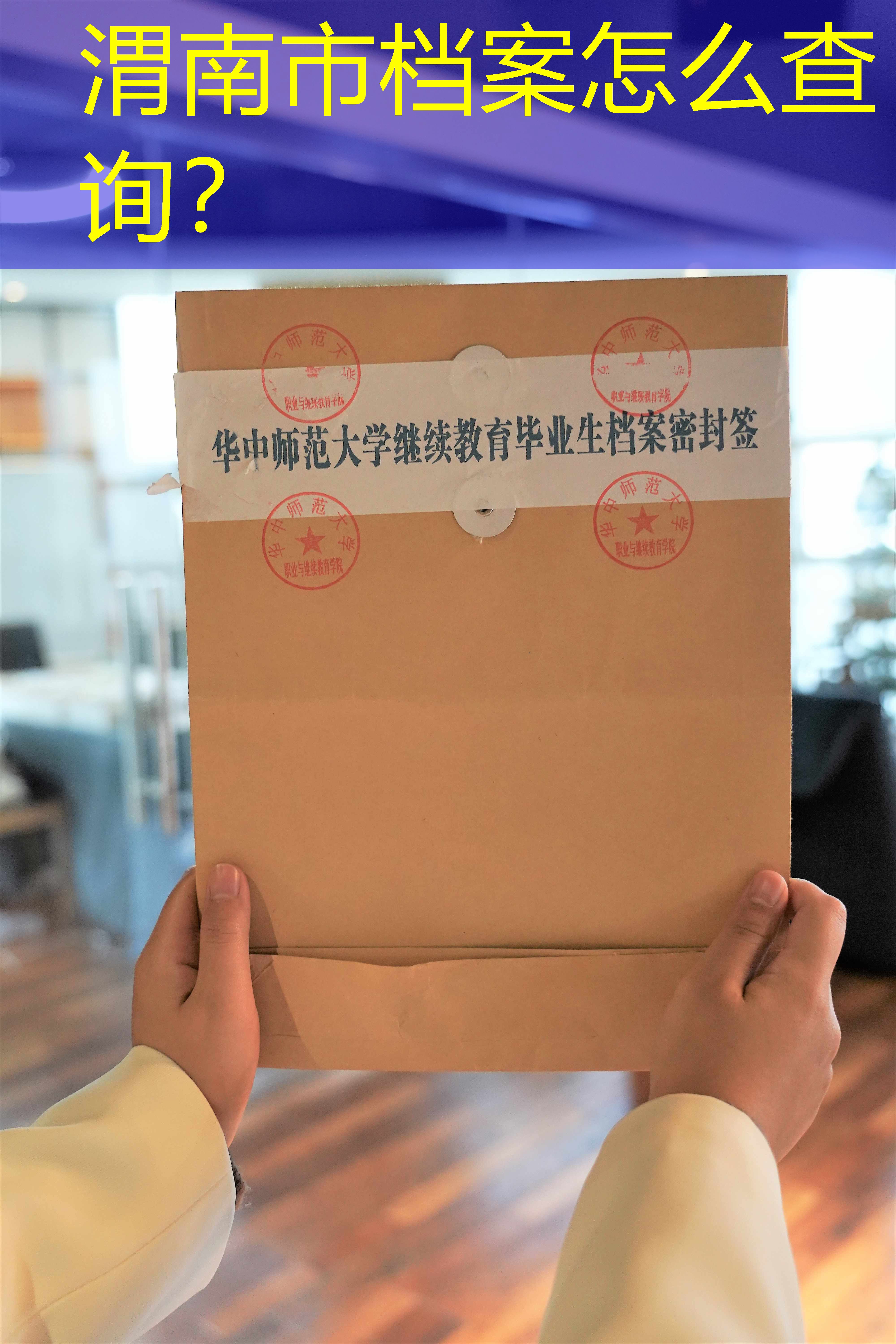 档案查询