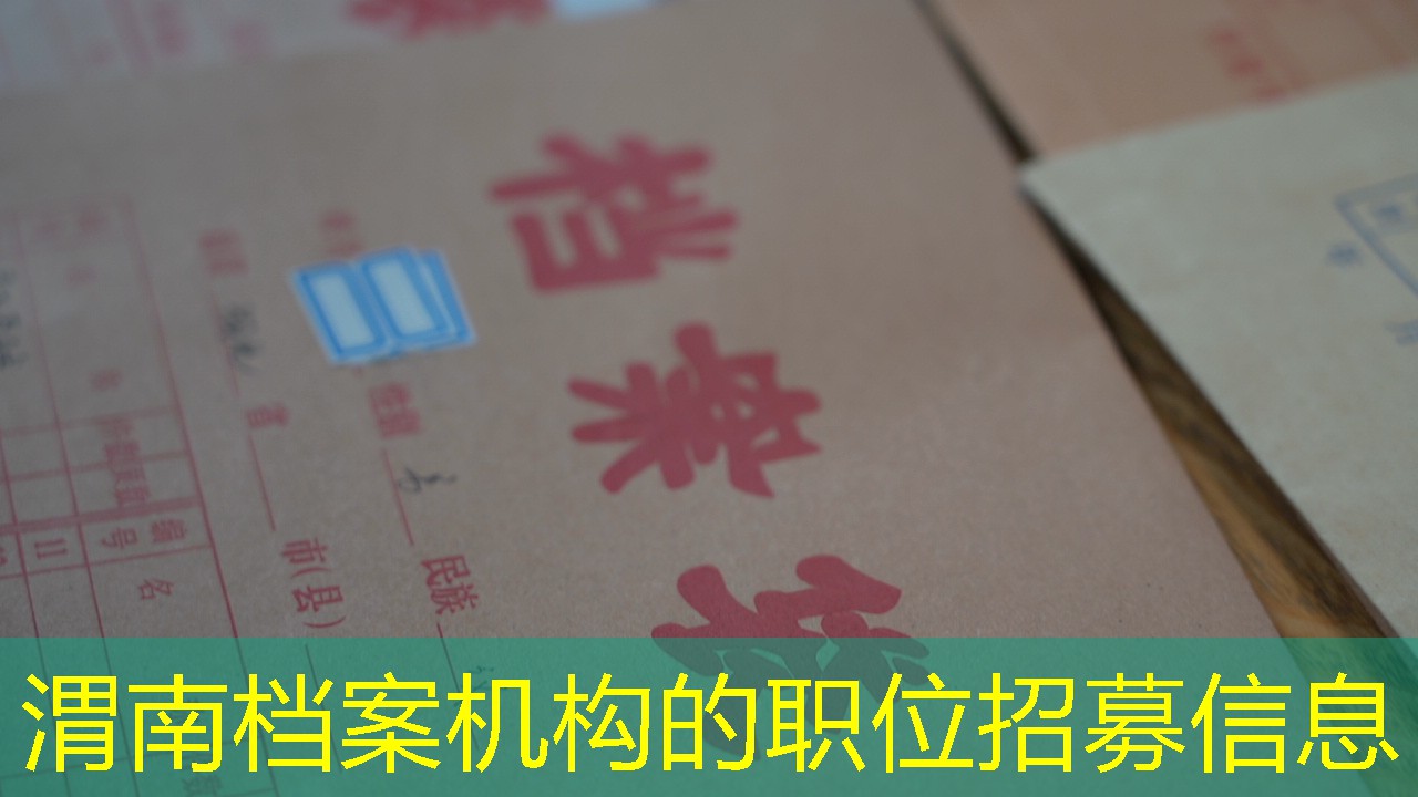 档案查询