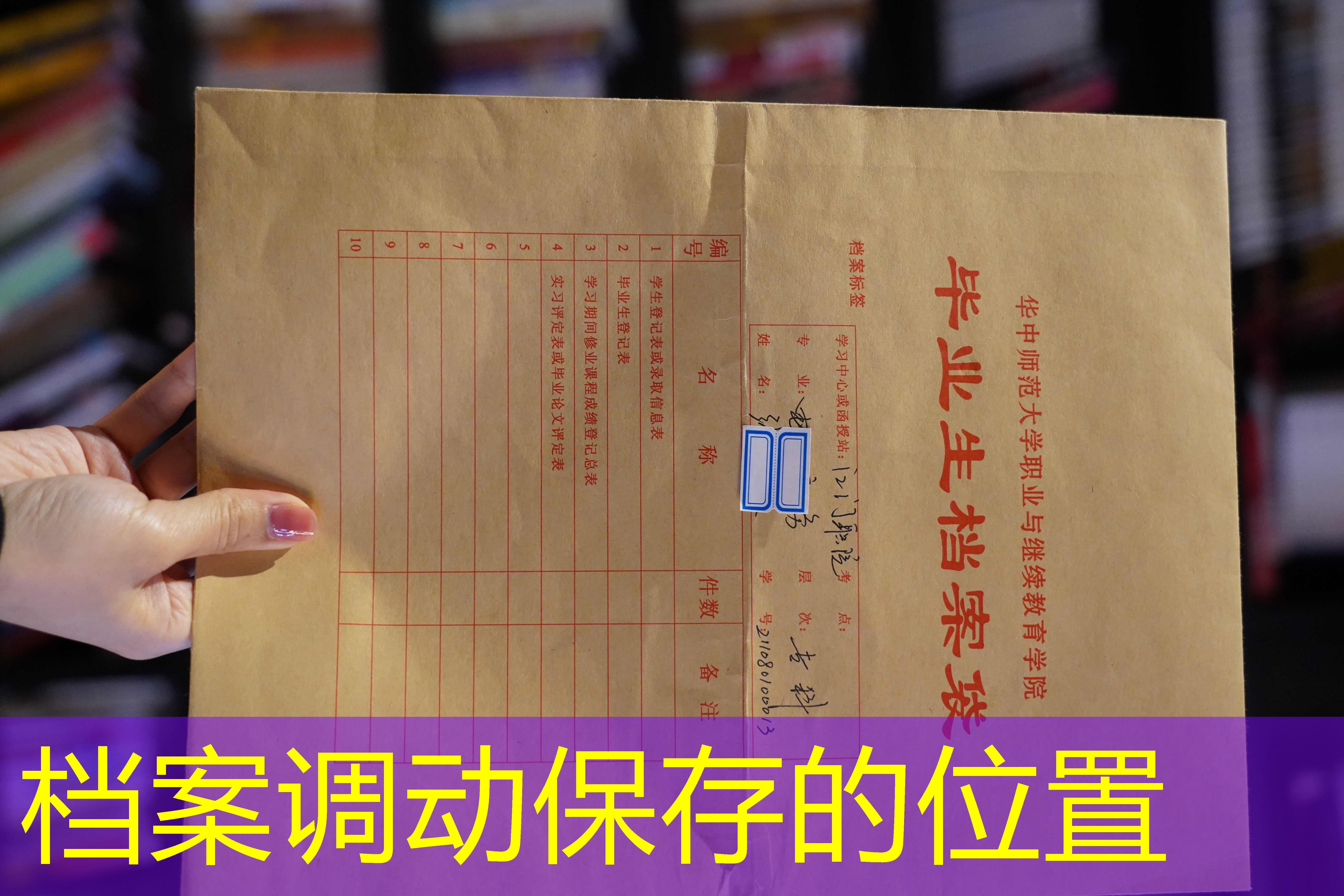 档案查询