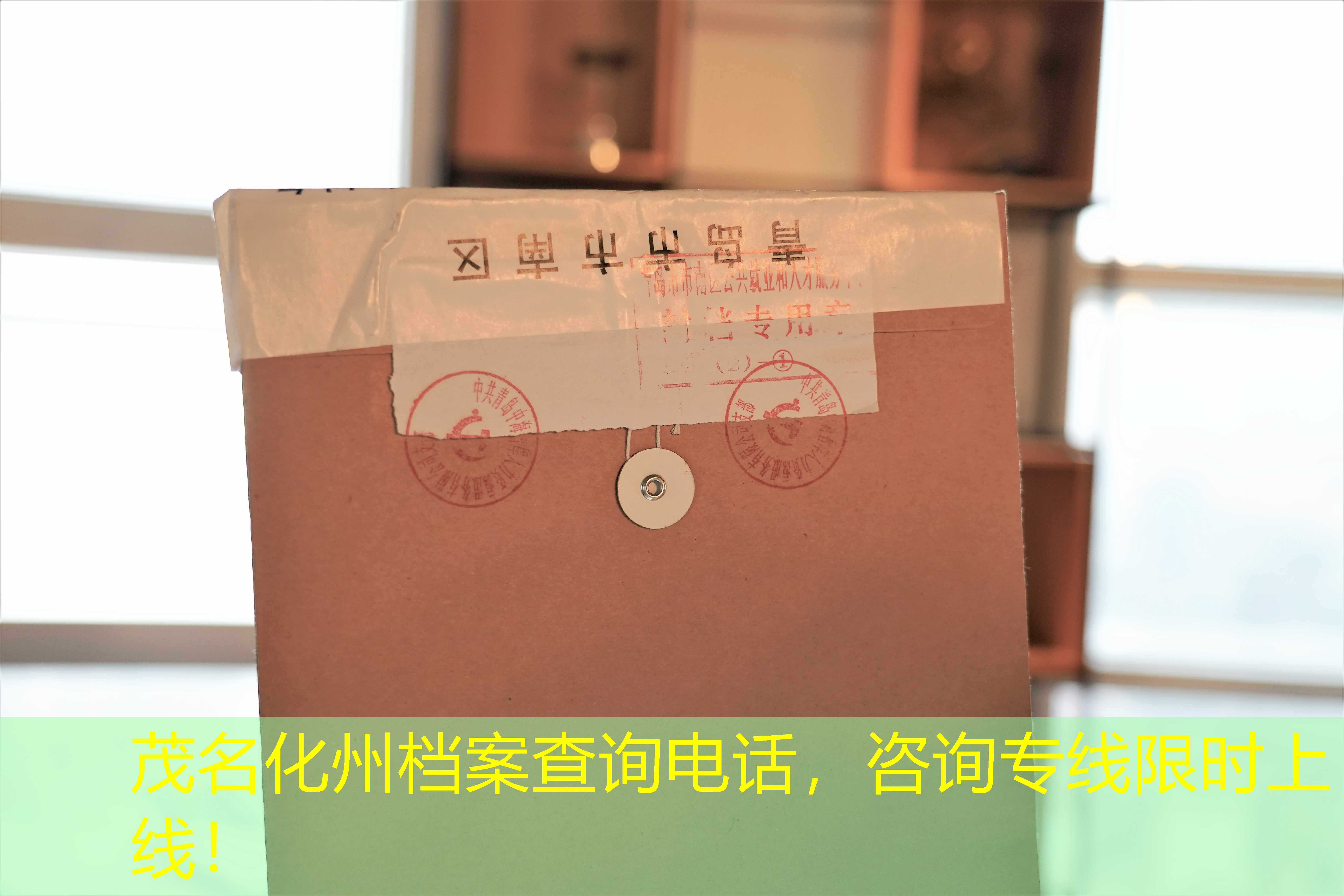 档案查询