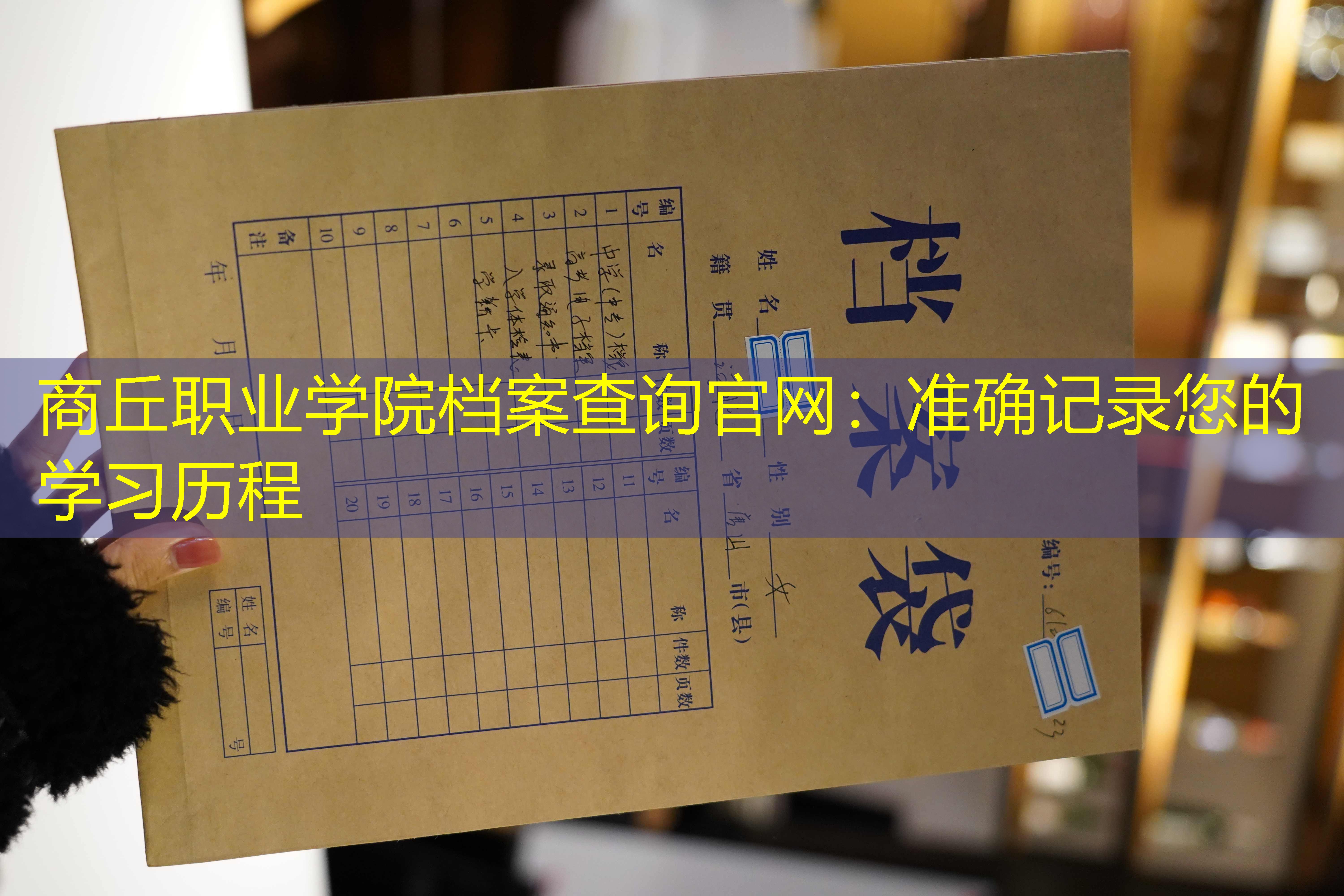 档案查询