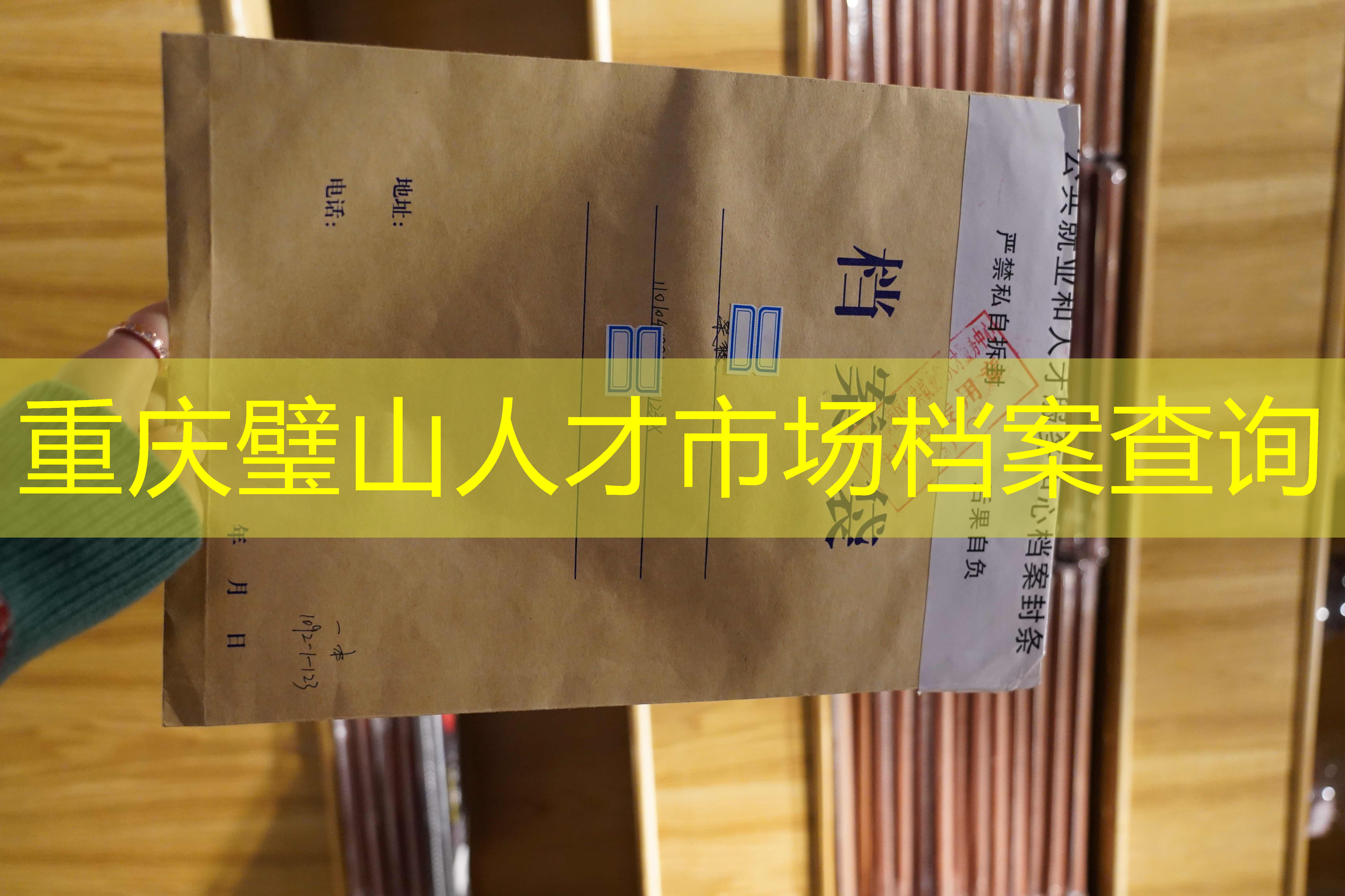 档案查询