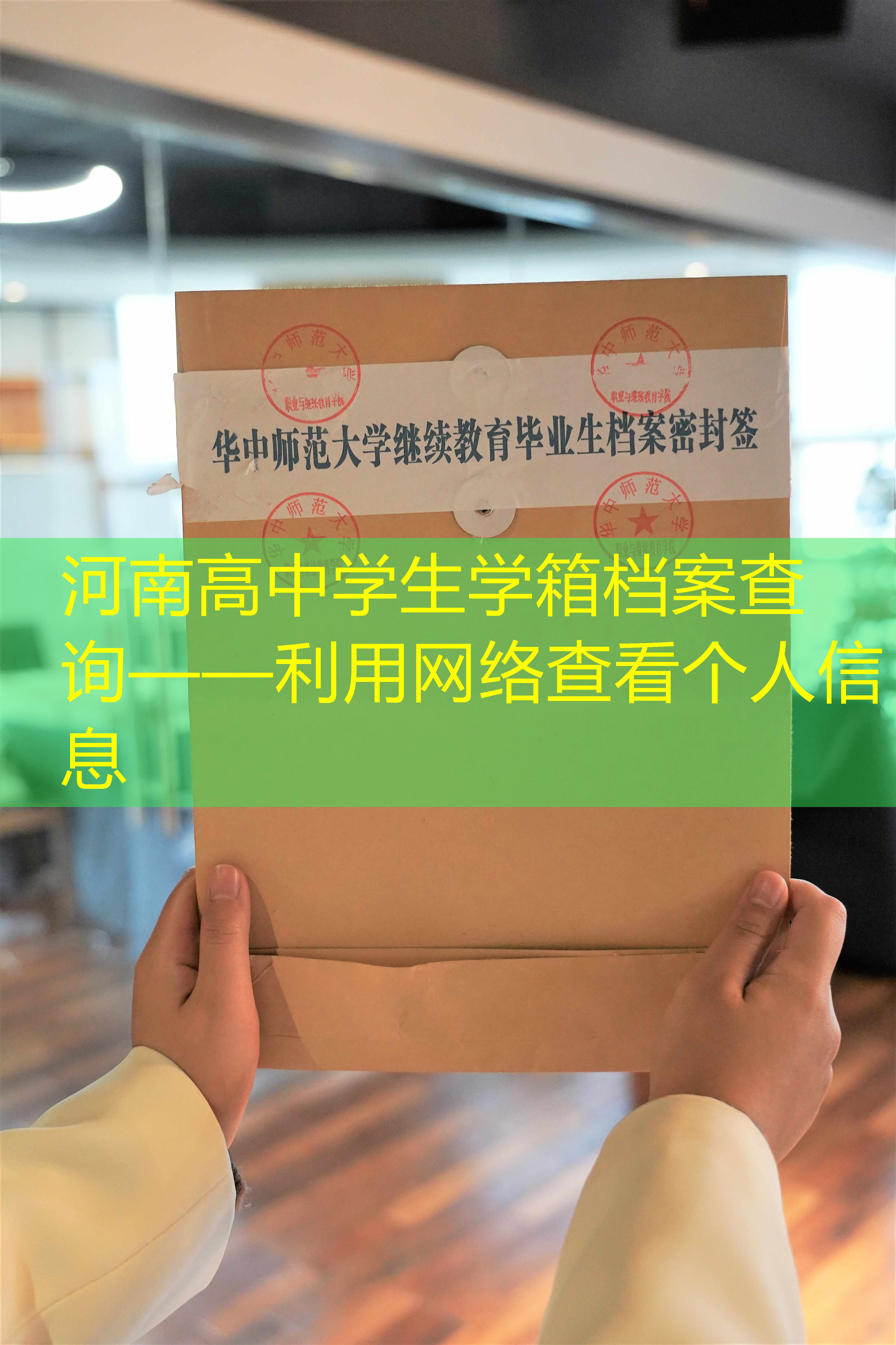 档案查询