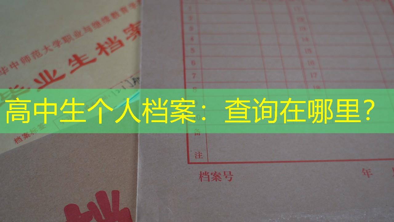 档案查询