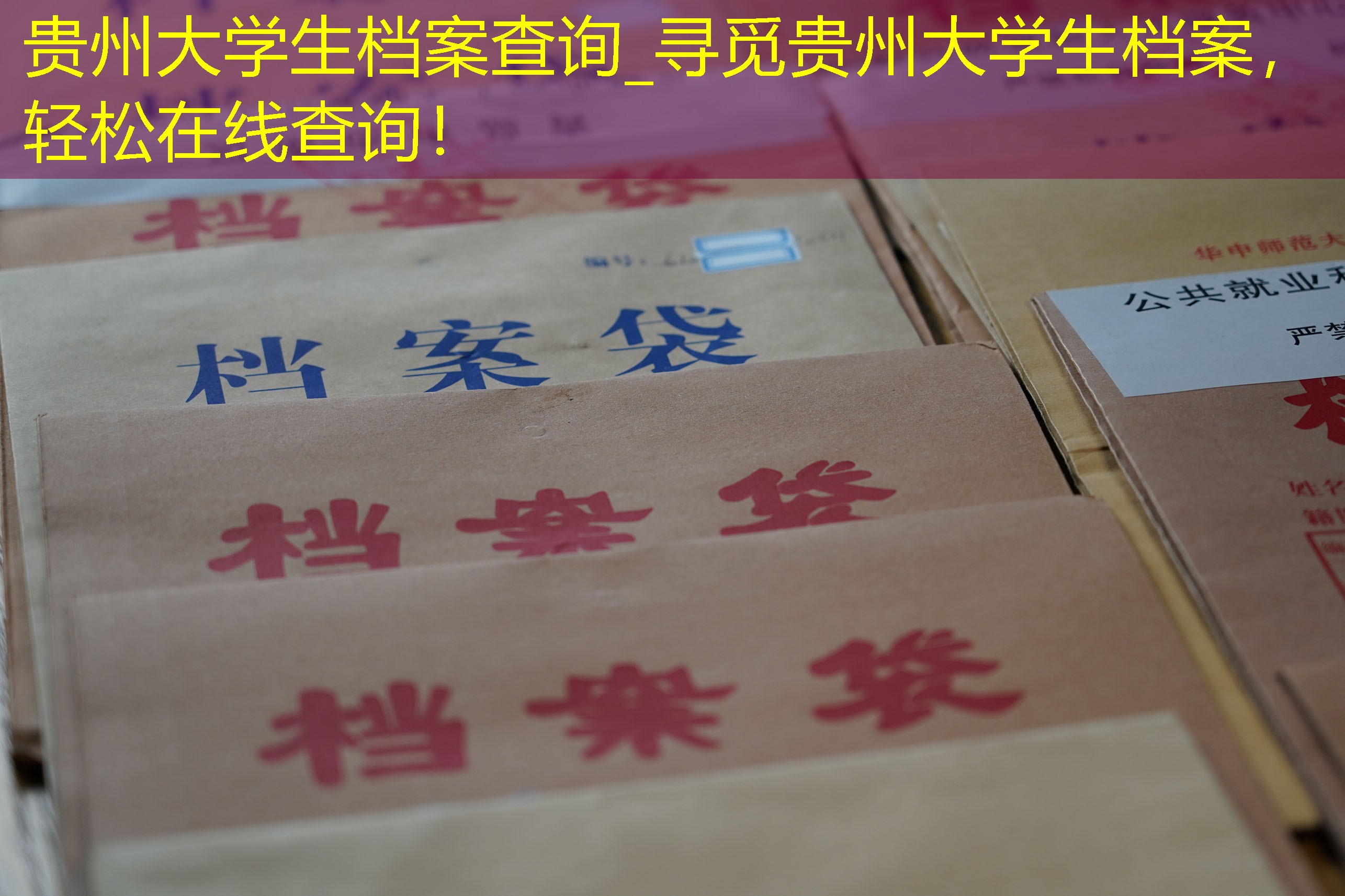 档案查询
