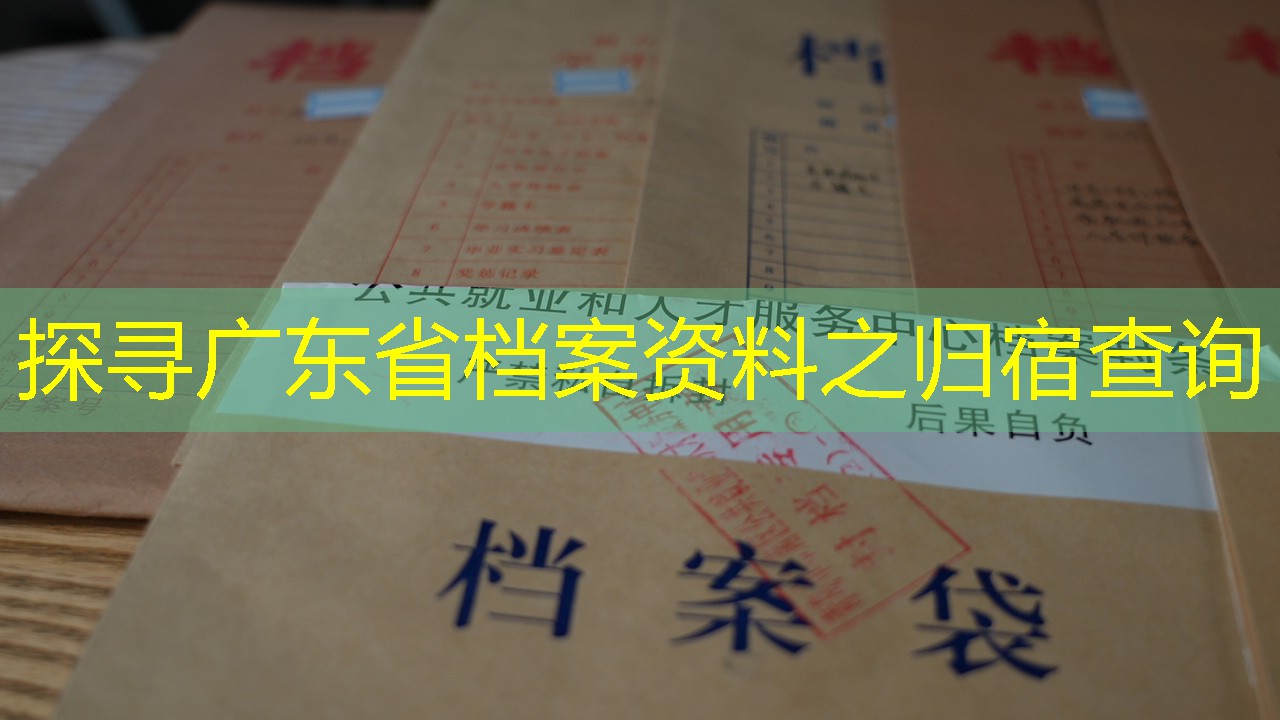 档案查询