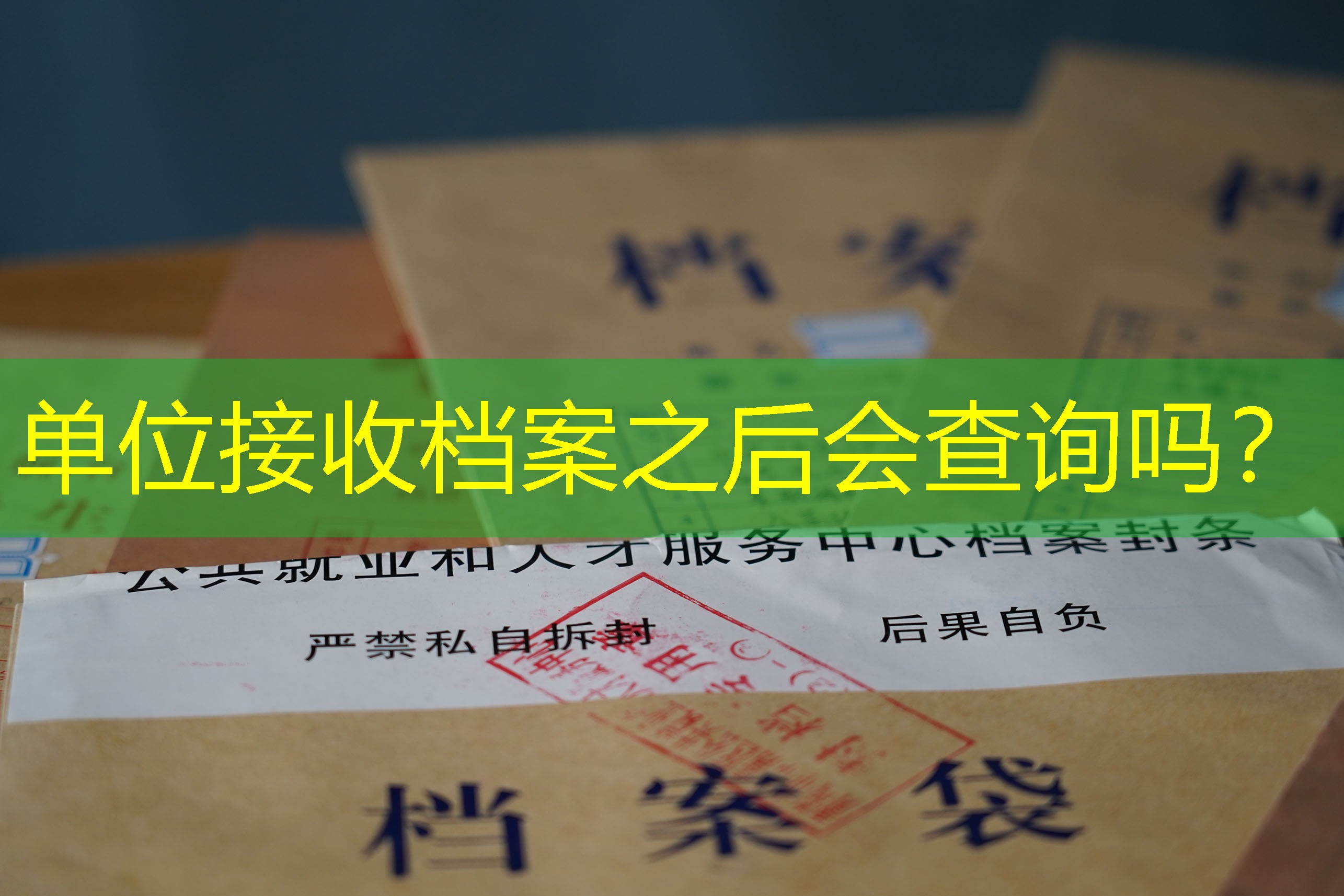 档案查询