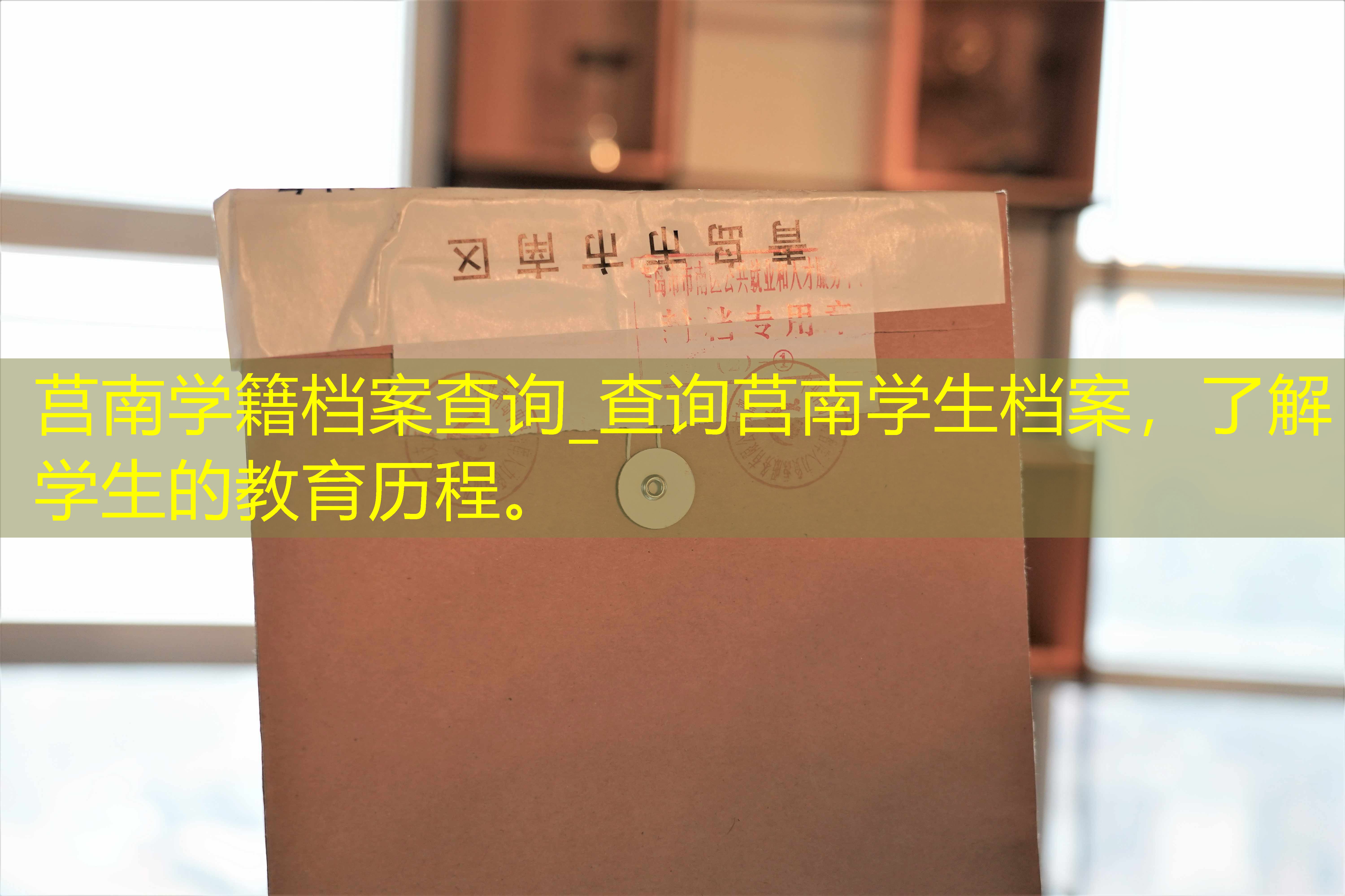档案查询