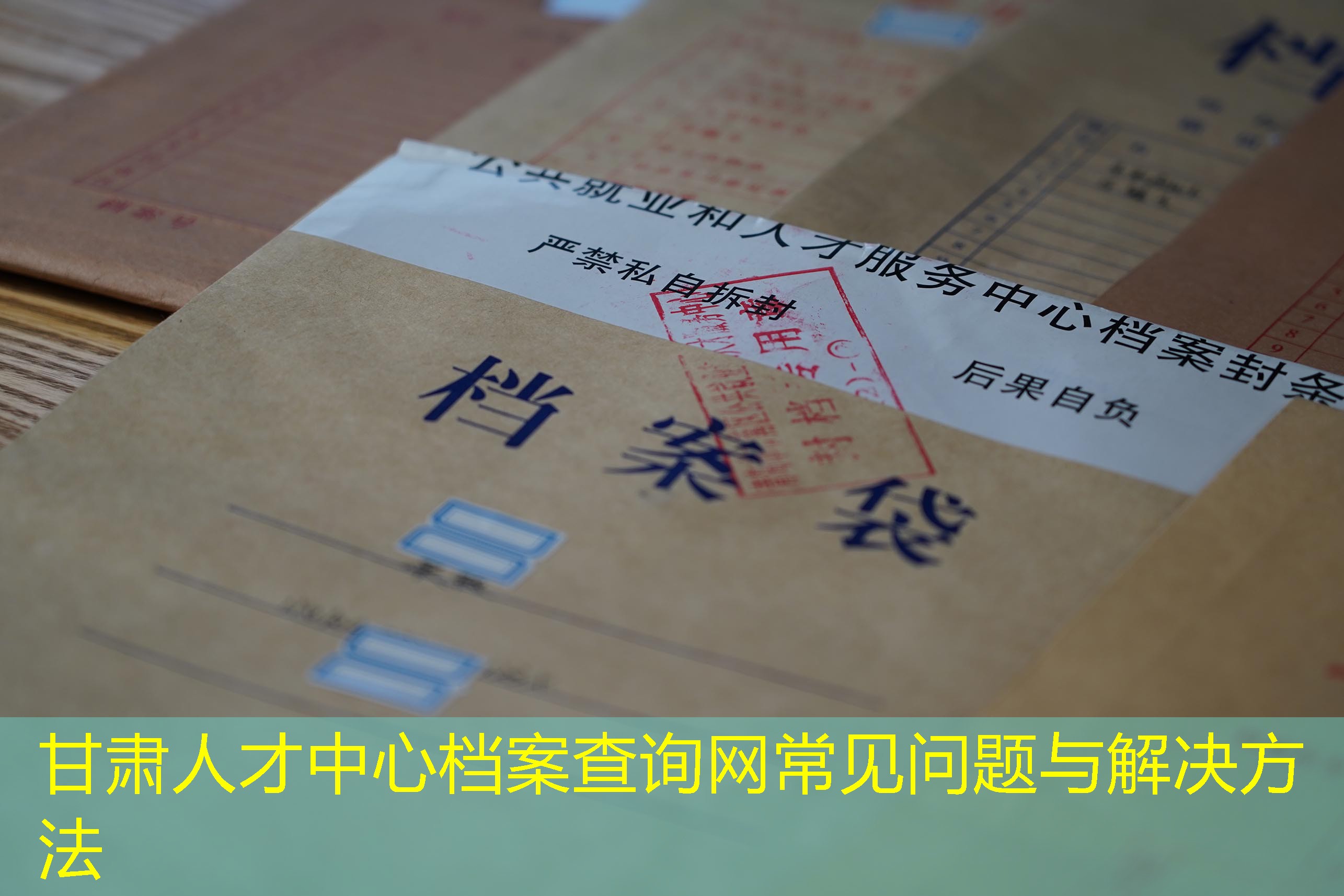 档案查询