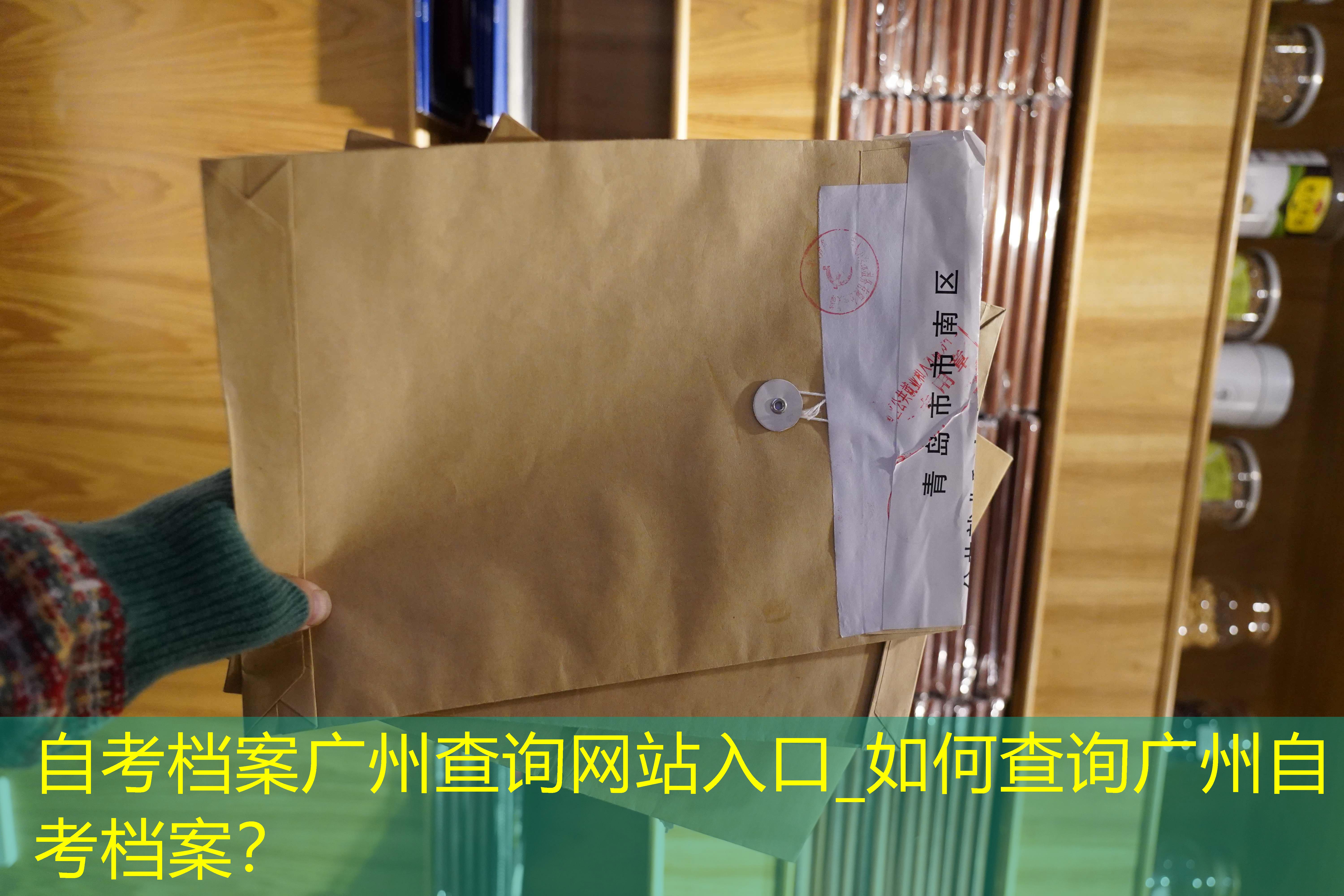 档案查询