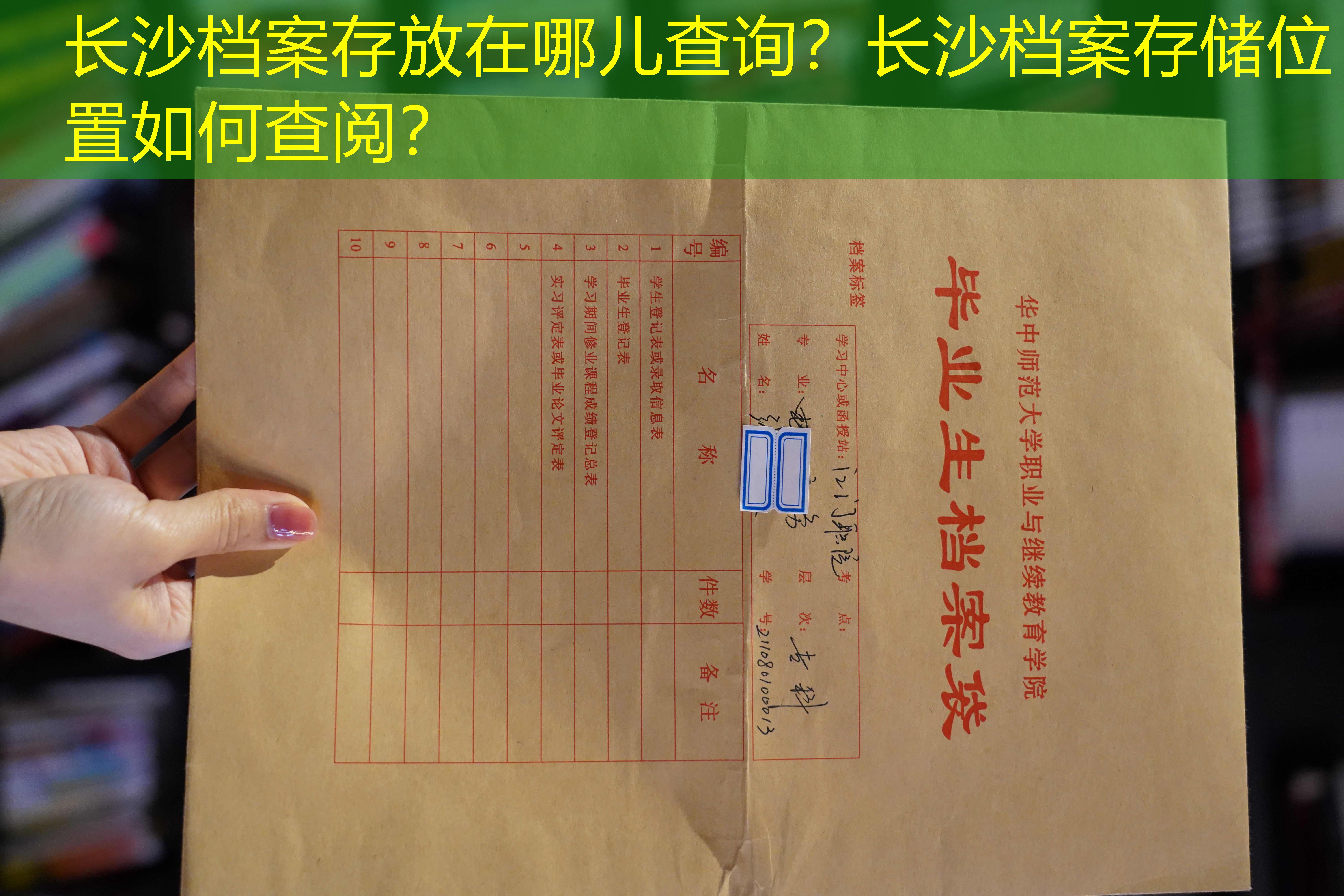 档案查询