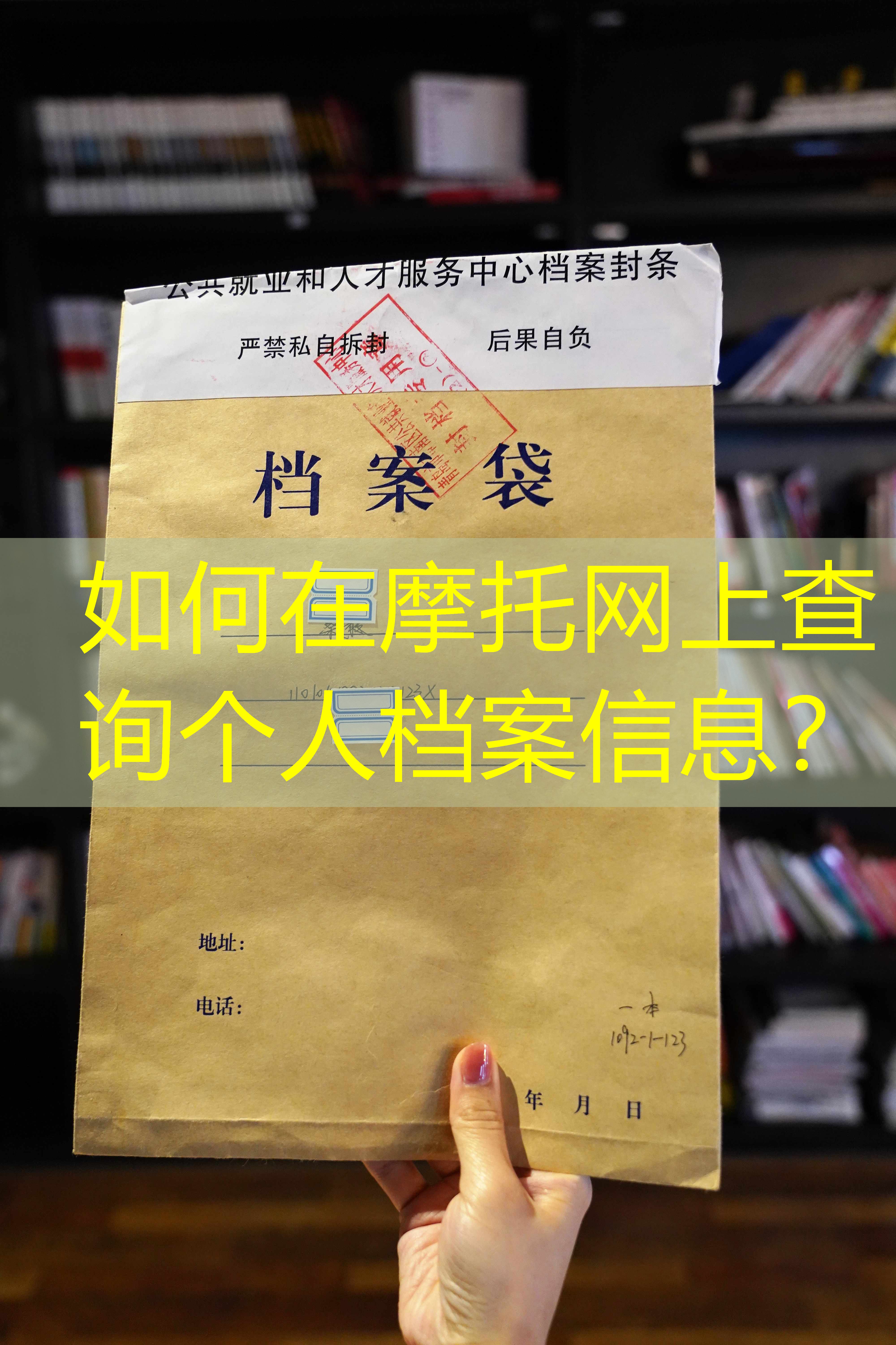 档案查询