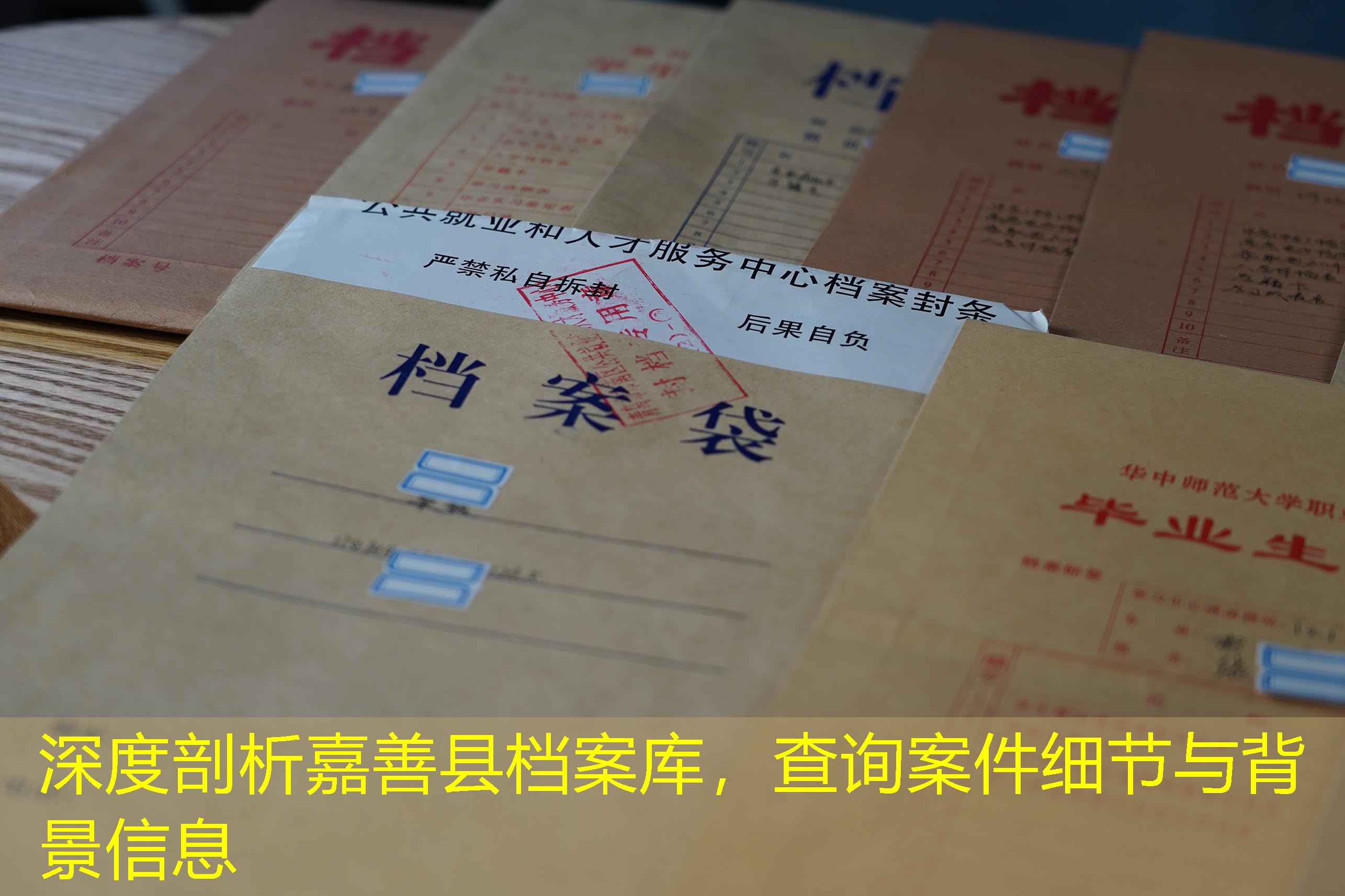 档案查询