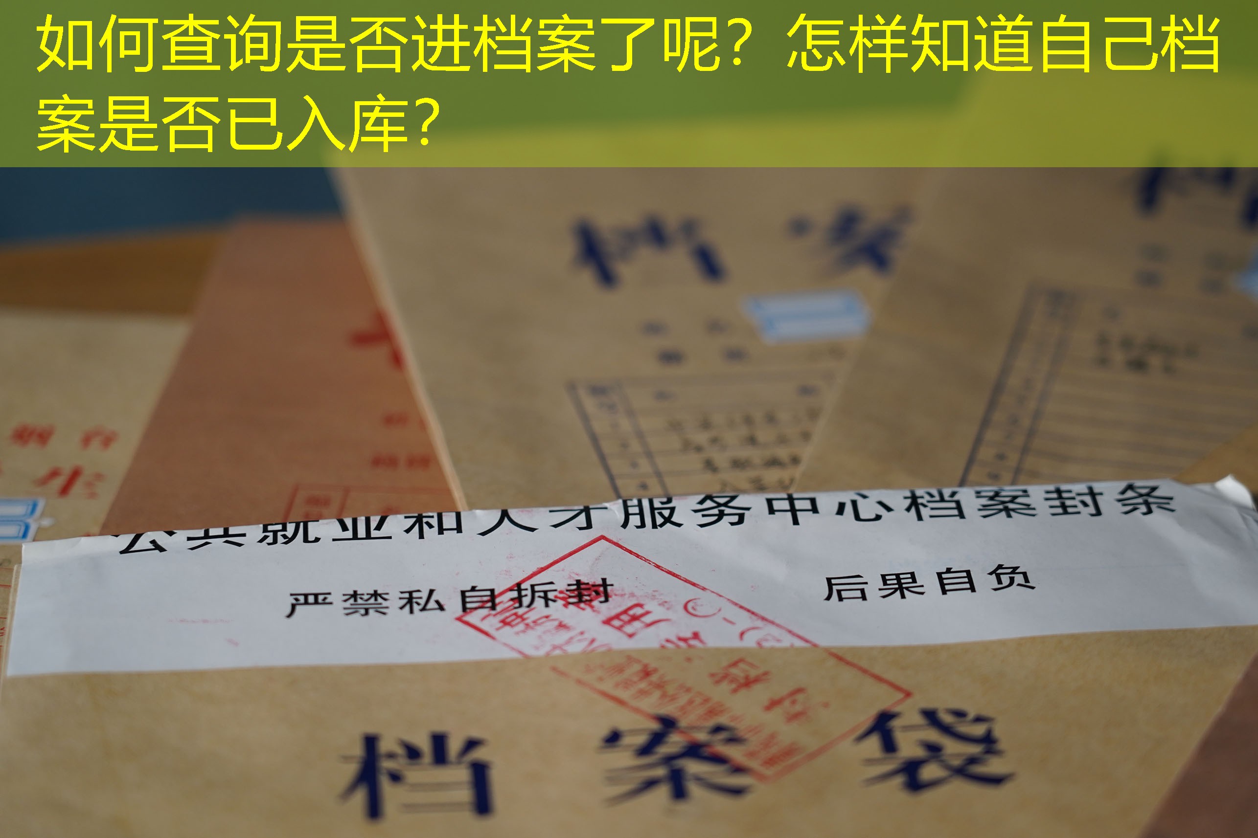 档案查询