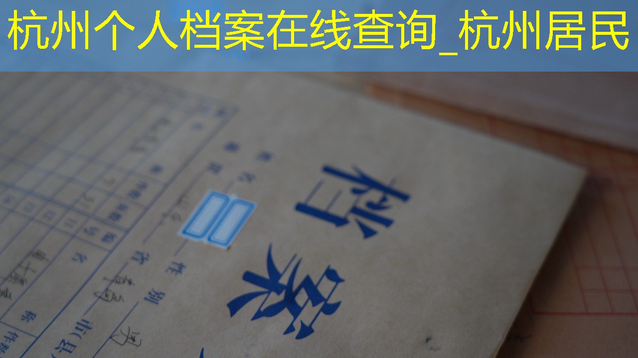 档案查询