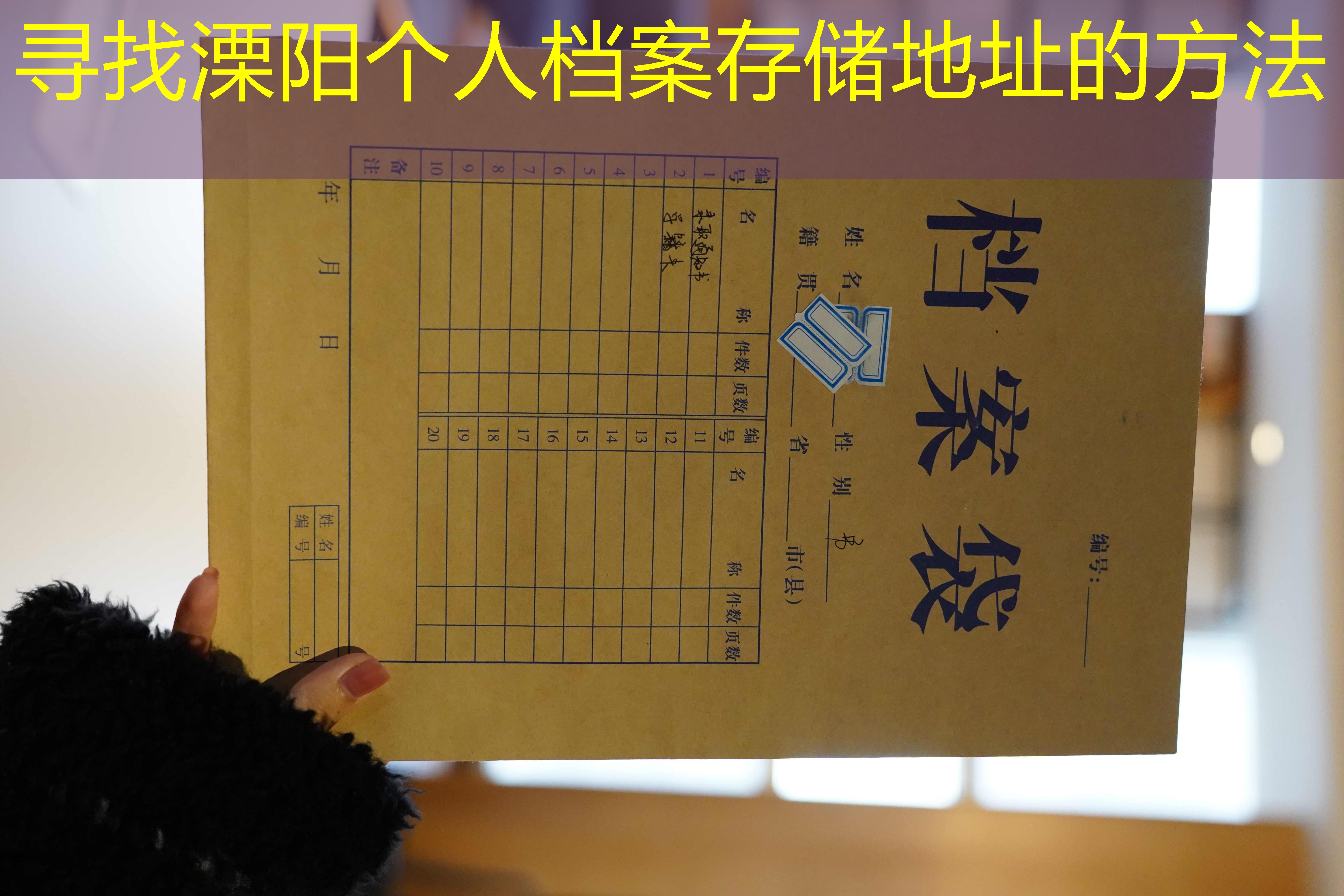 档案查询