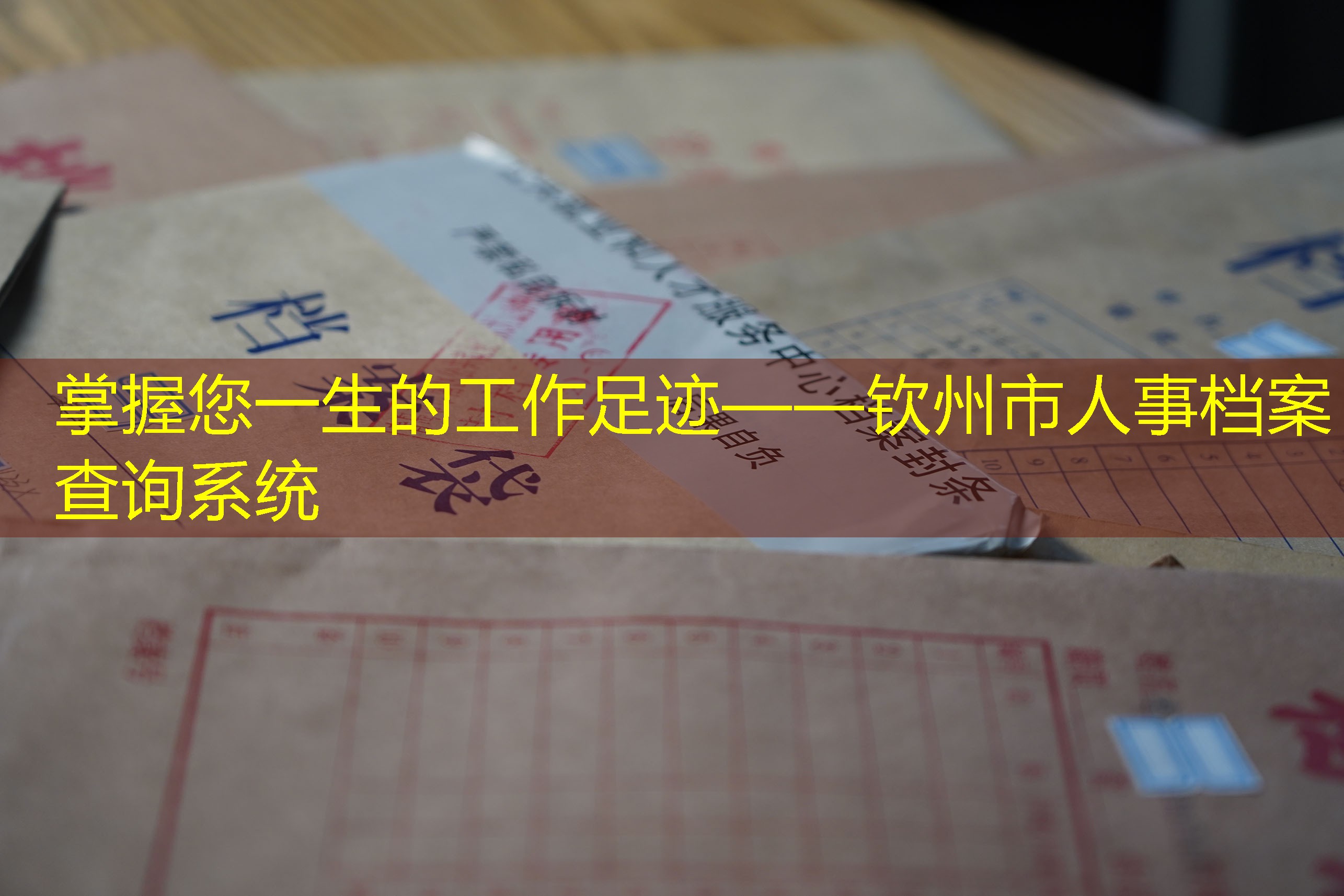 档案查询