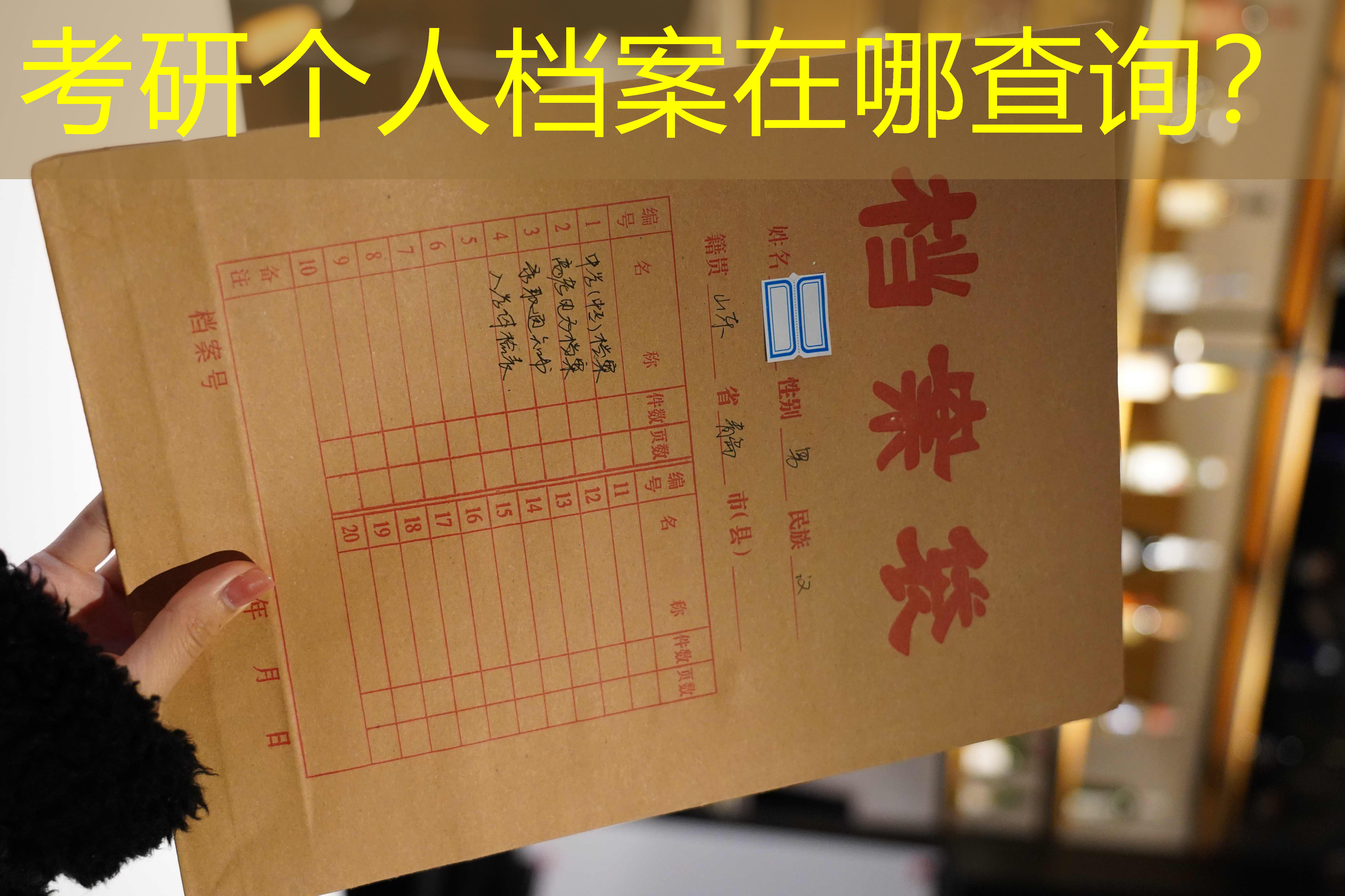 档案查询