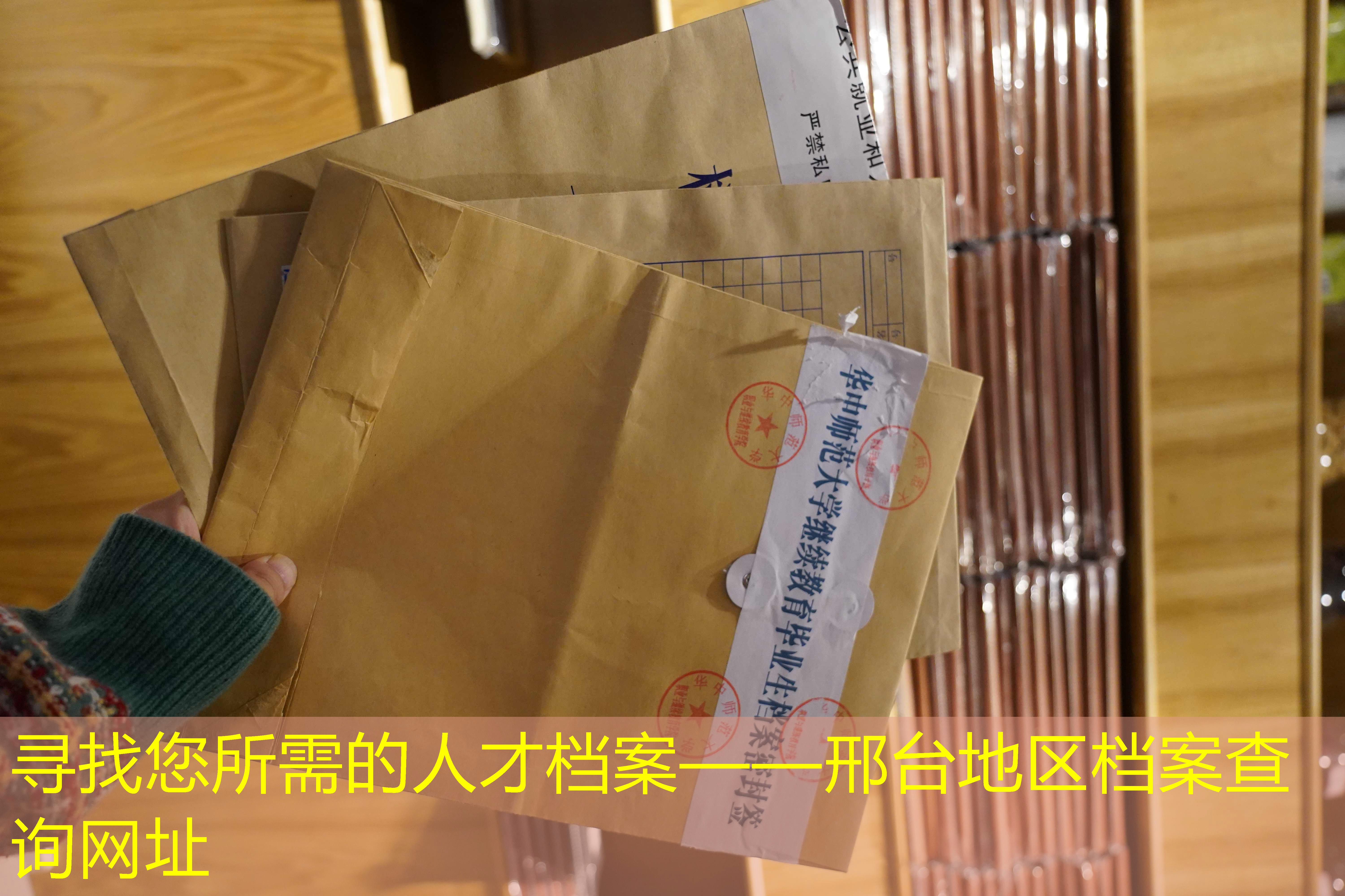 档案查询