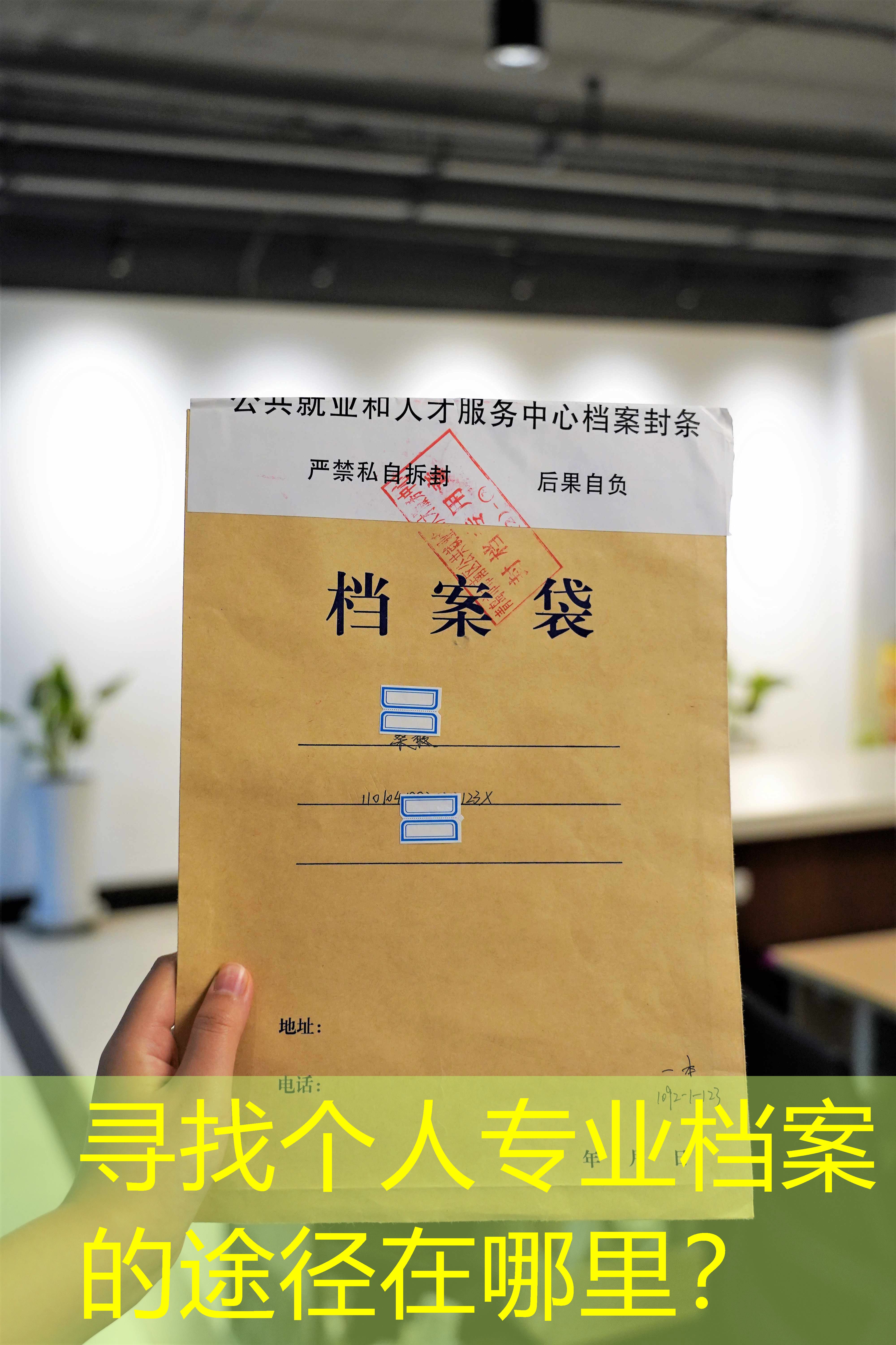 档案查询