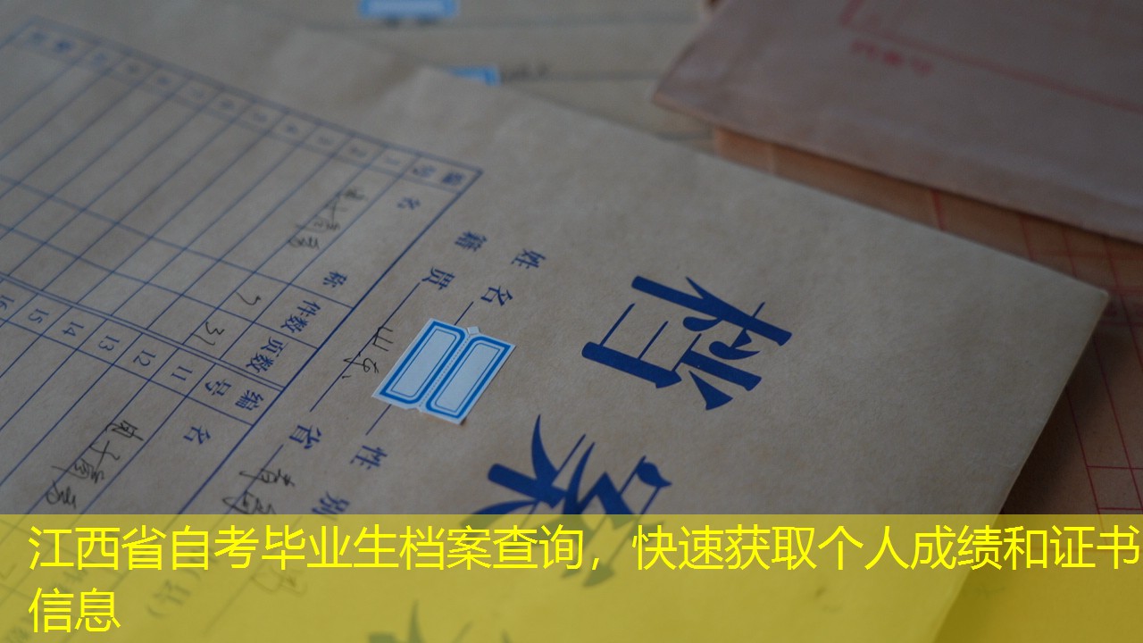 档案查询