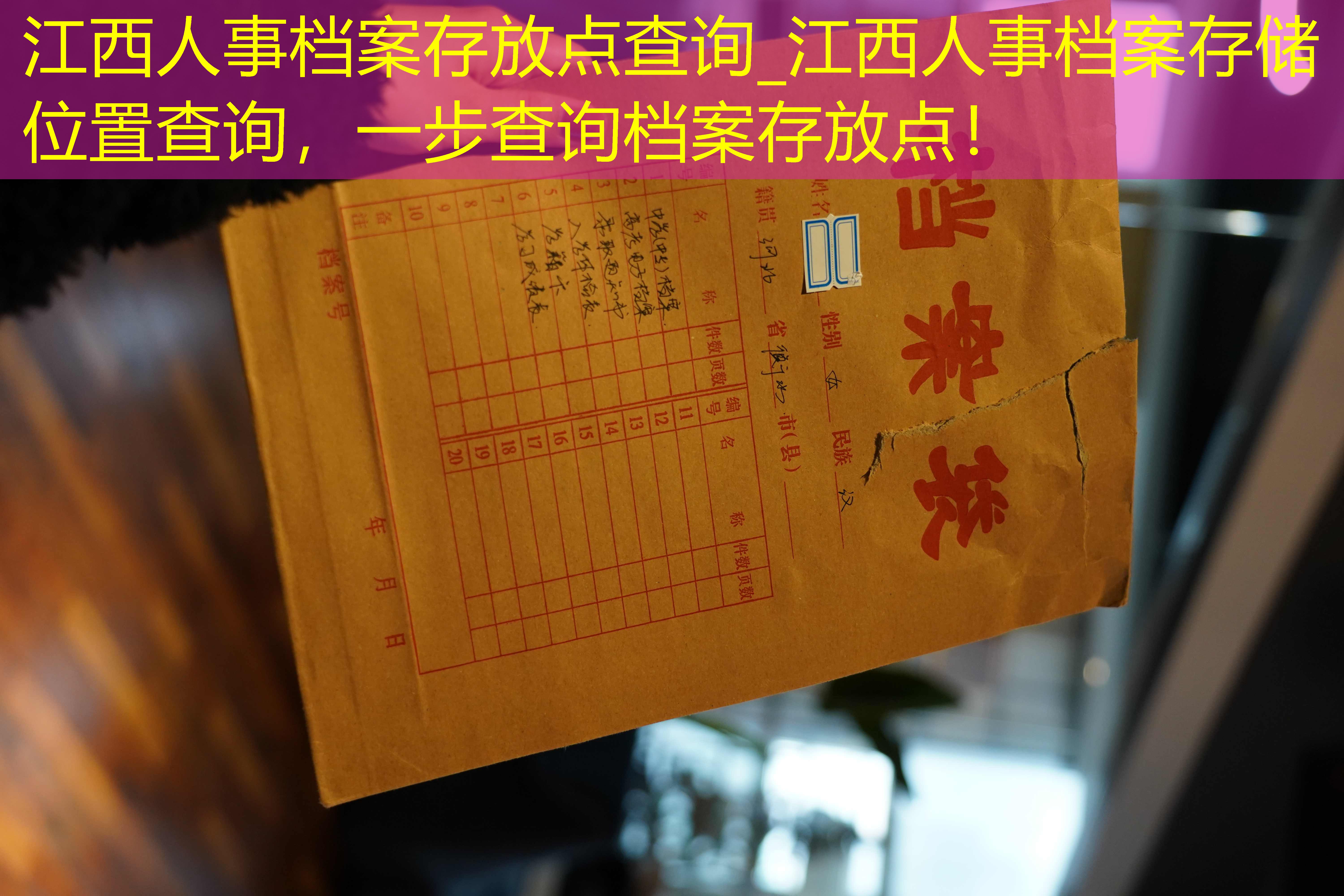 档案查询
