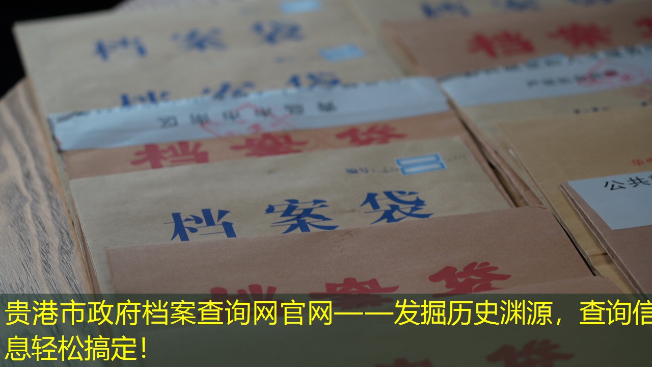 档案查询