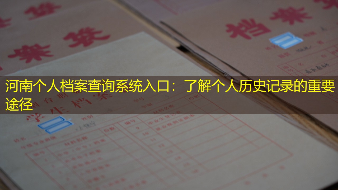 档案查询